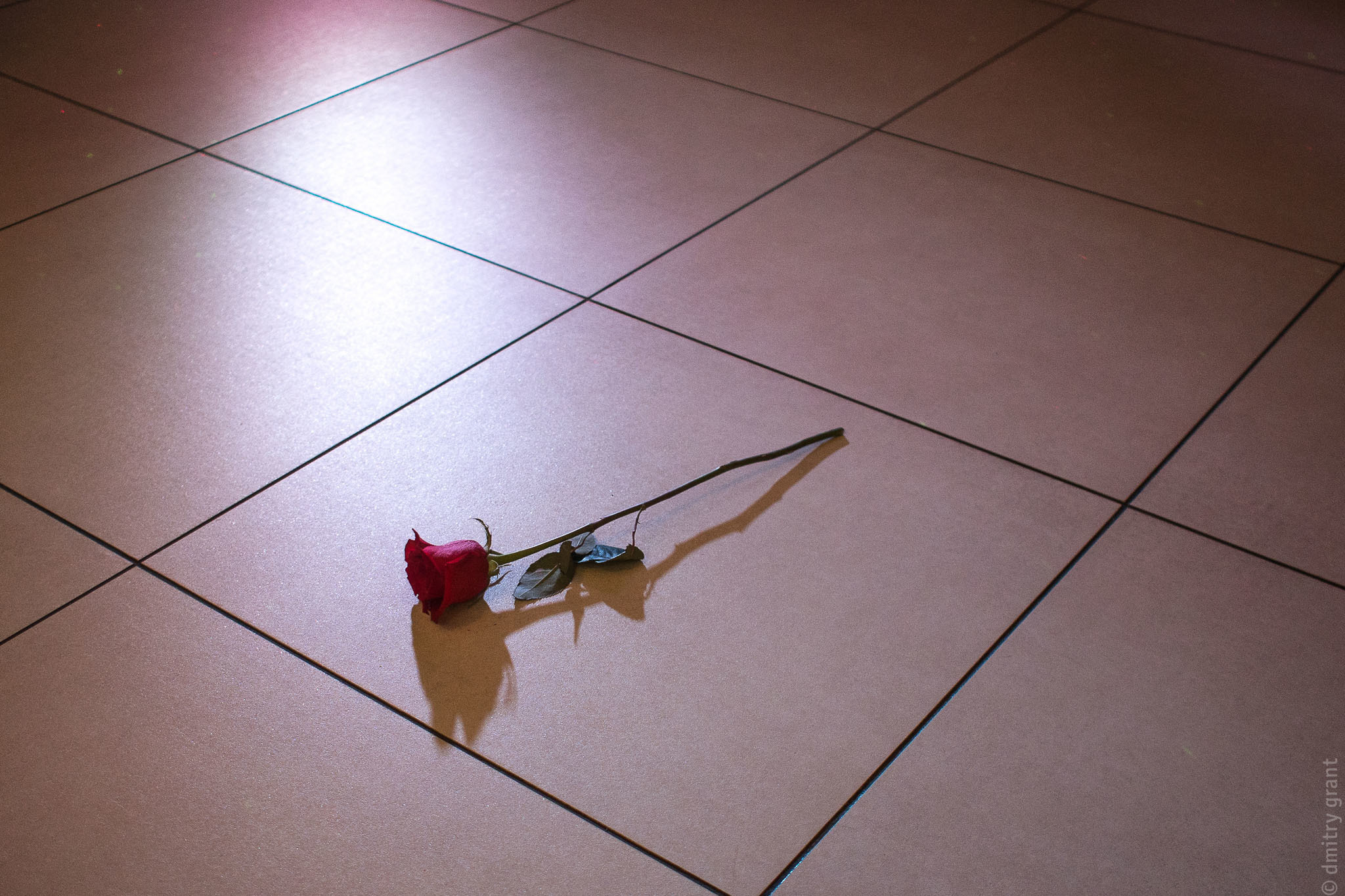 Августа + Артемий. Фотограф Дмитрий Грант