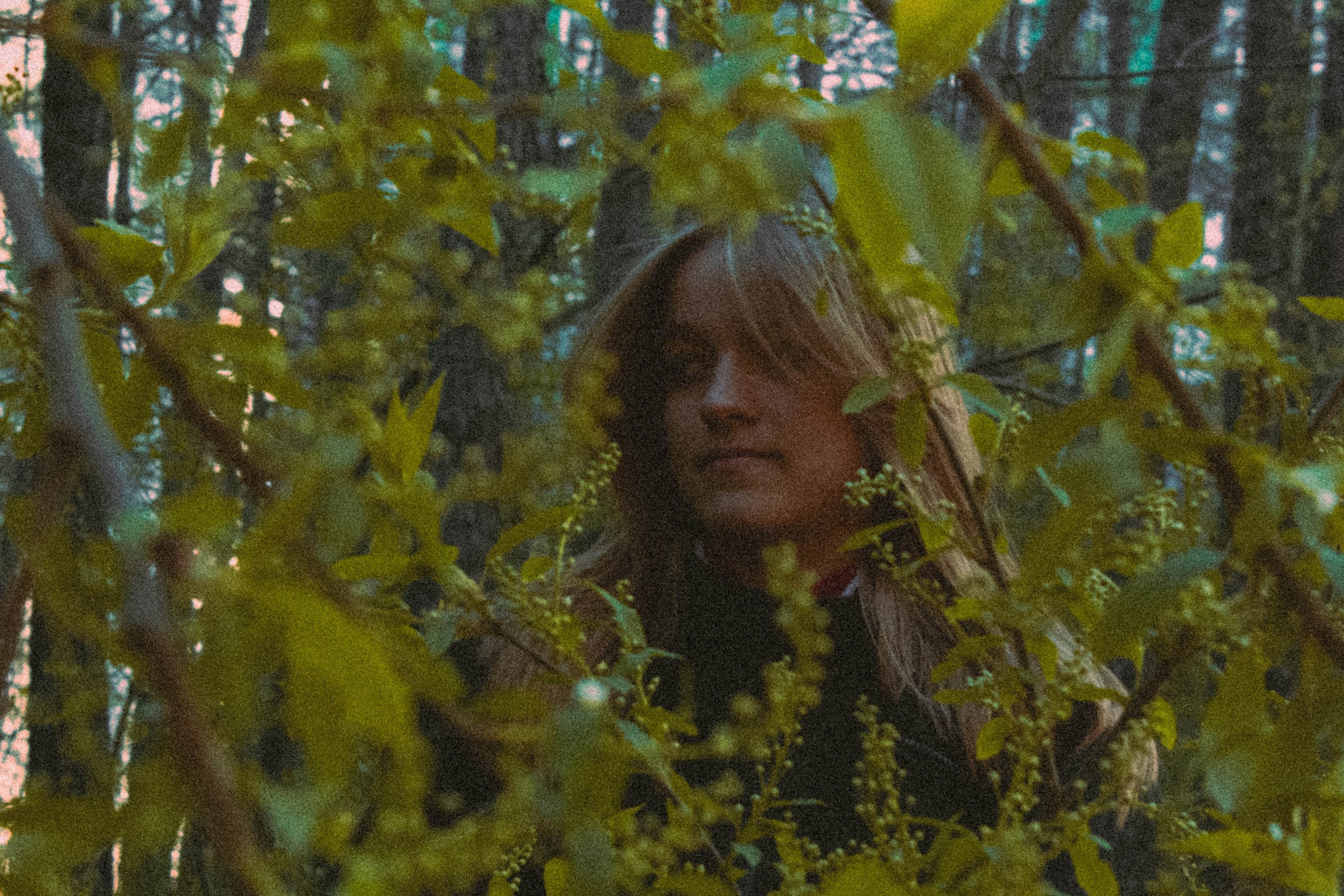 «Без названия»