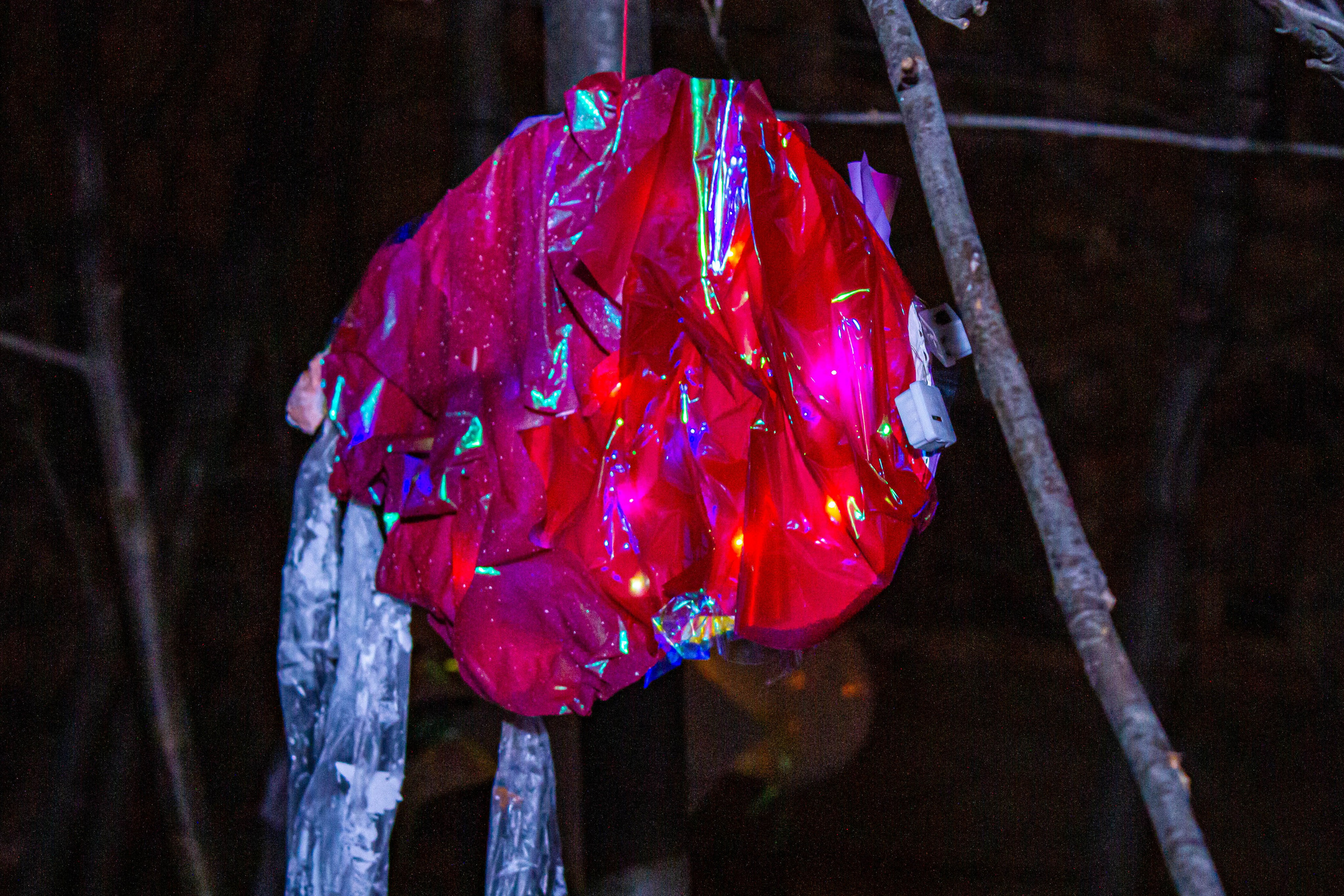 НЕ ТЕМНО_ЛИЦЕЙ им. С. П. ДЯГИЛЕВА 2025