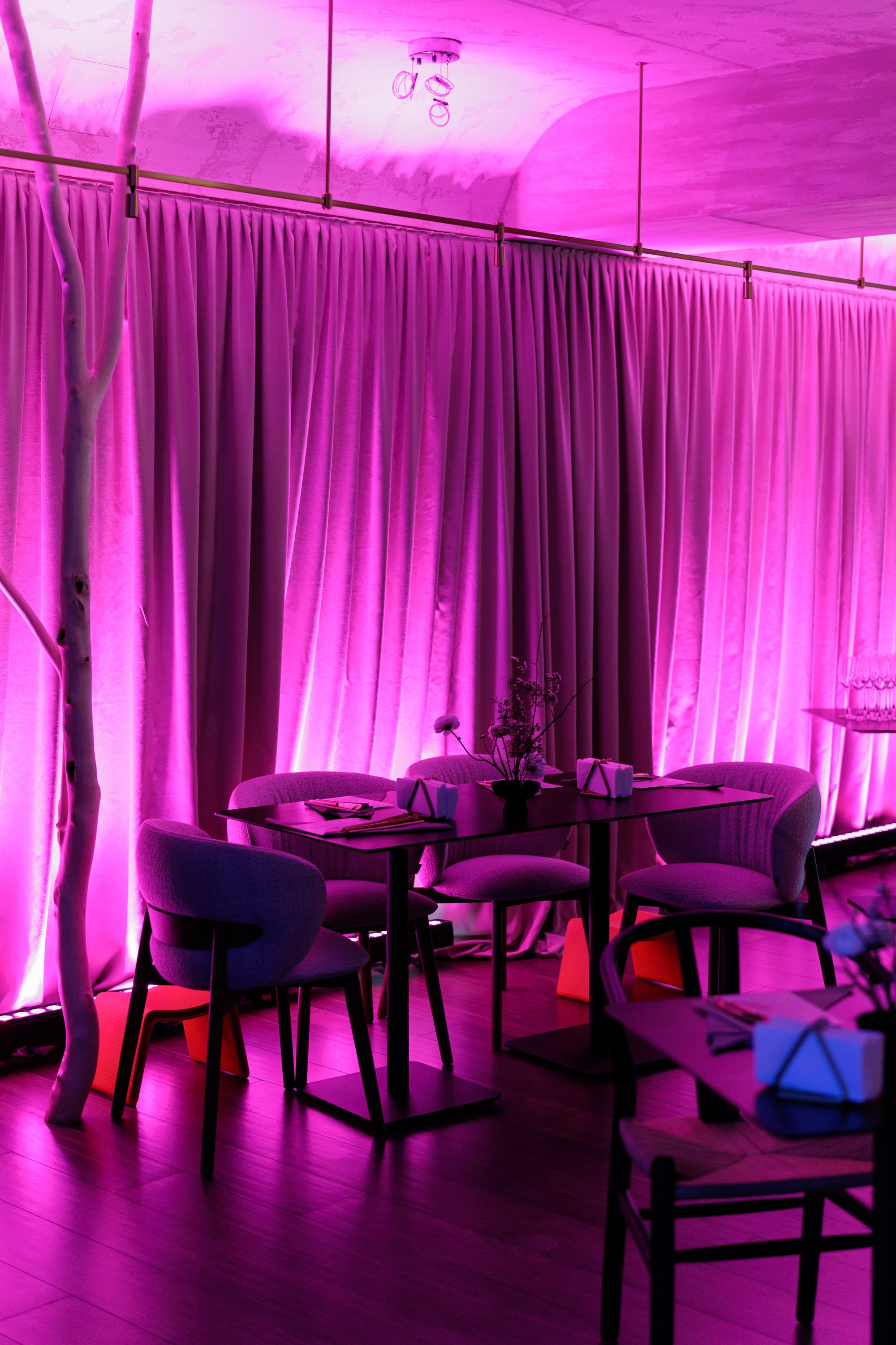 Гастроужин в р.Komorebi (may.25). Свадебный фотограф