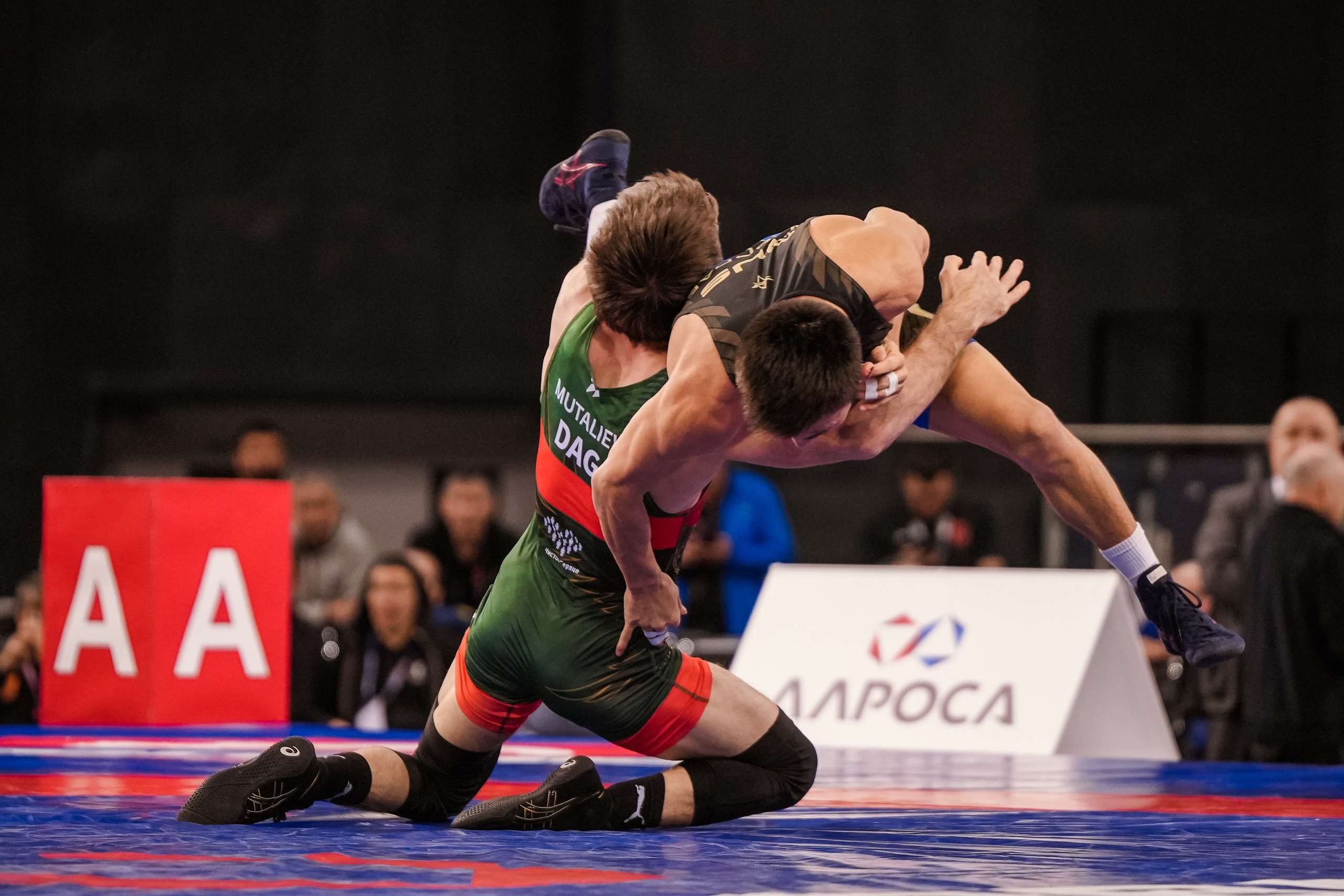 Кубок Ивана Ярыгина 2025 фотографии / ivan yarygin cup 2025 photos. Фотограф Анна Герман. Красноярск