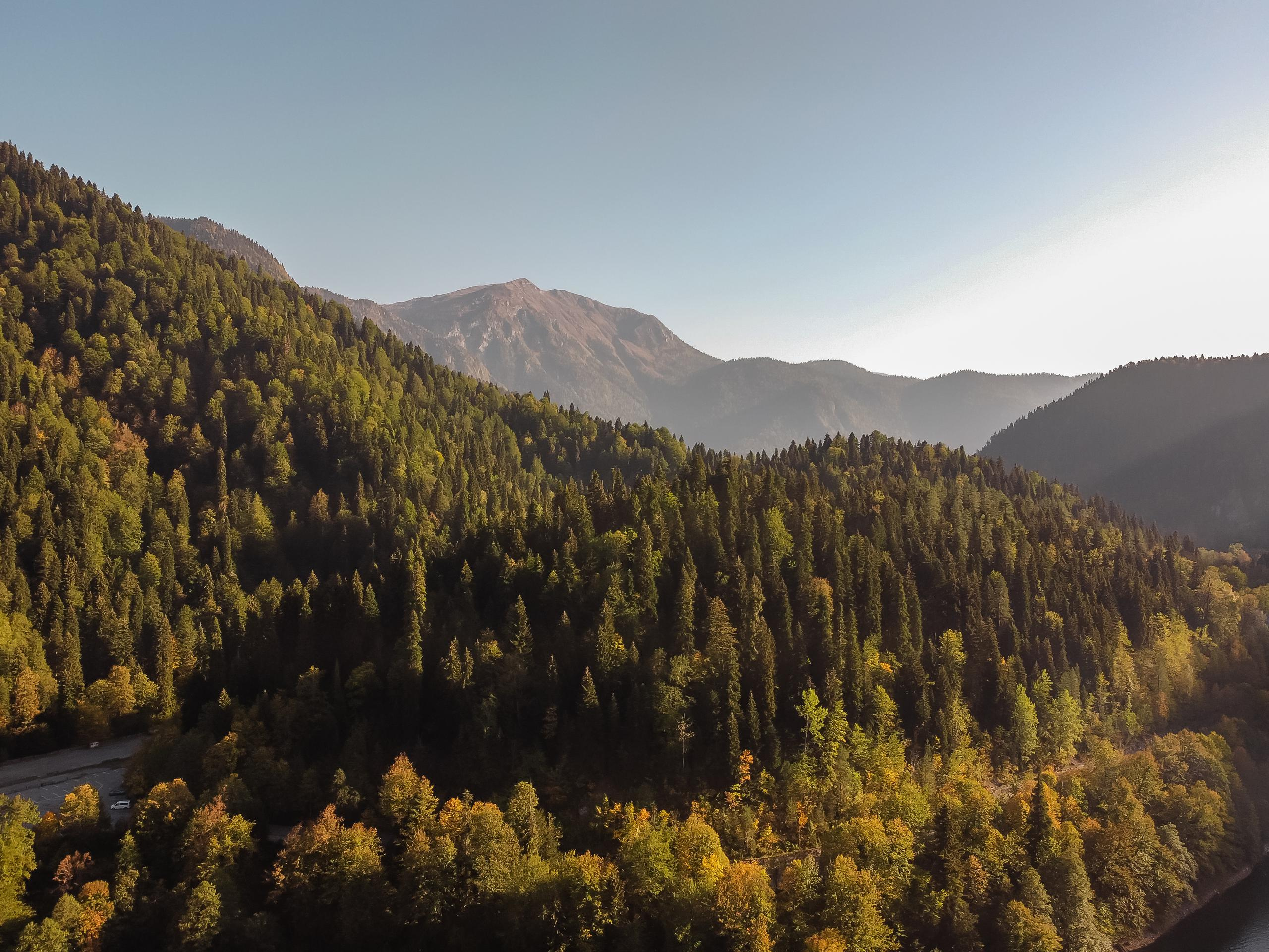 Абхазия с Senseoflife.club. Фотографиня Мария Дикова