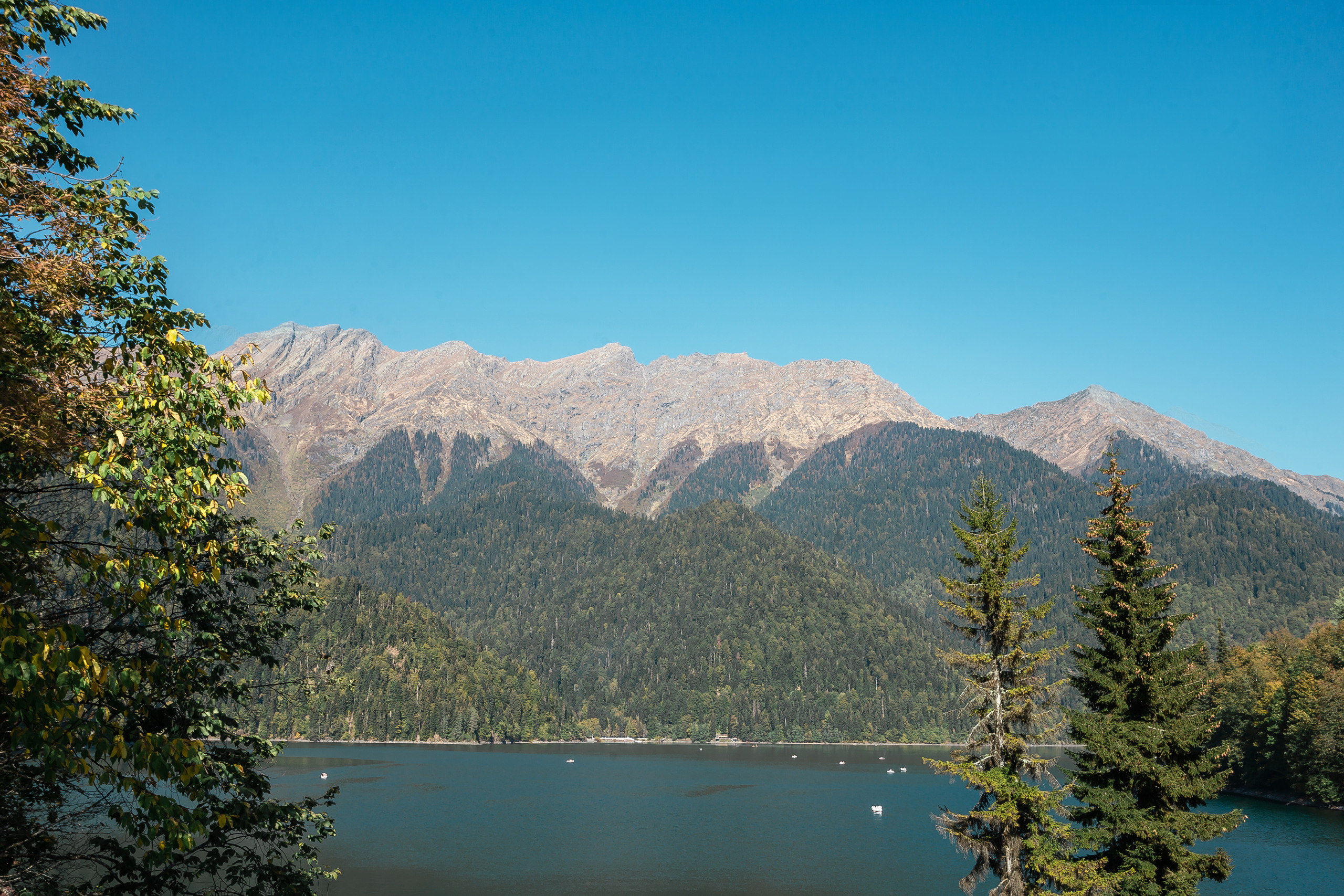 Абхазия с Senseoflife.club. Фотографиня Мария Дикова