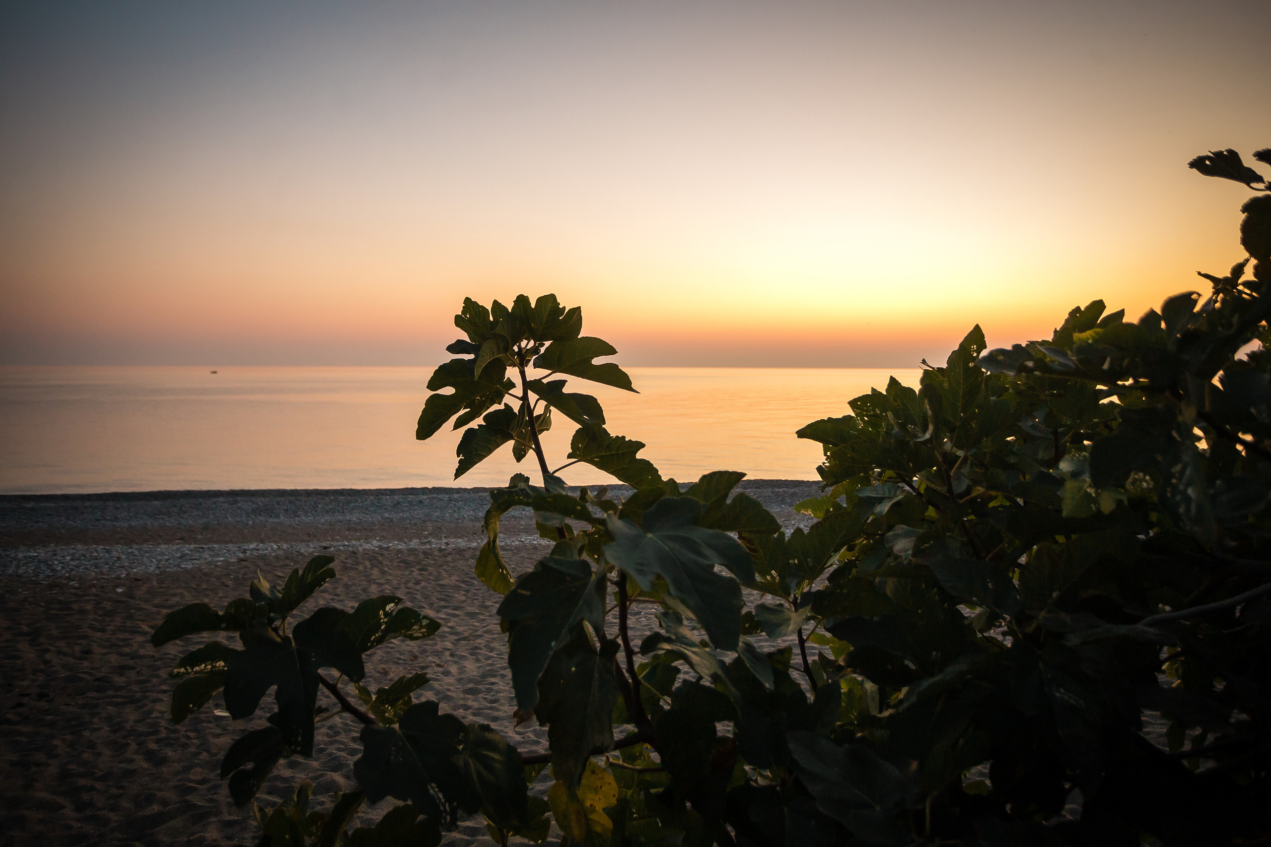 Абхазия с Senseoflife.club. Фотографиня Мария Дикова