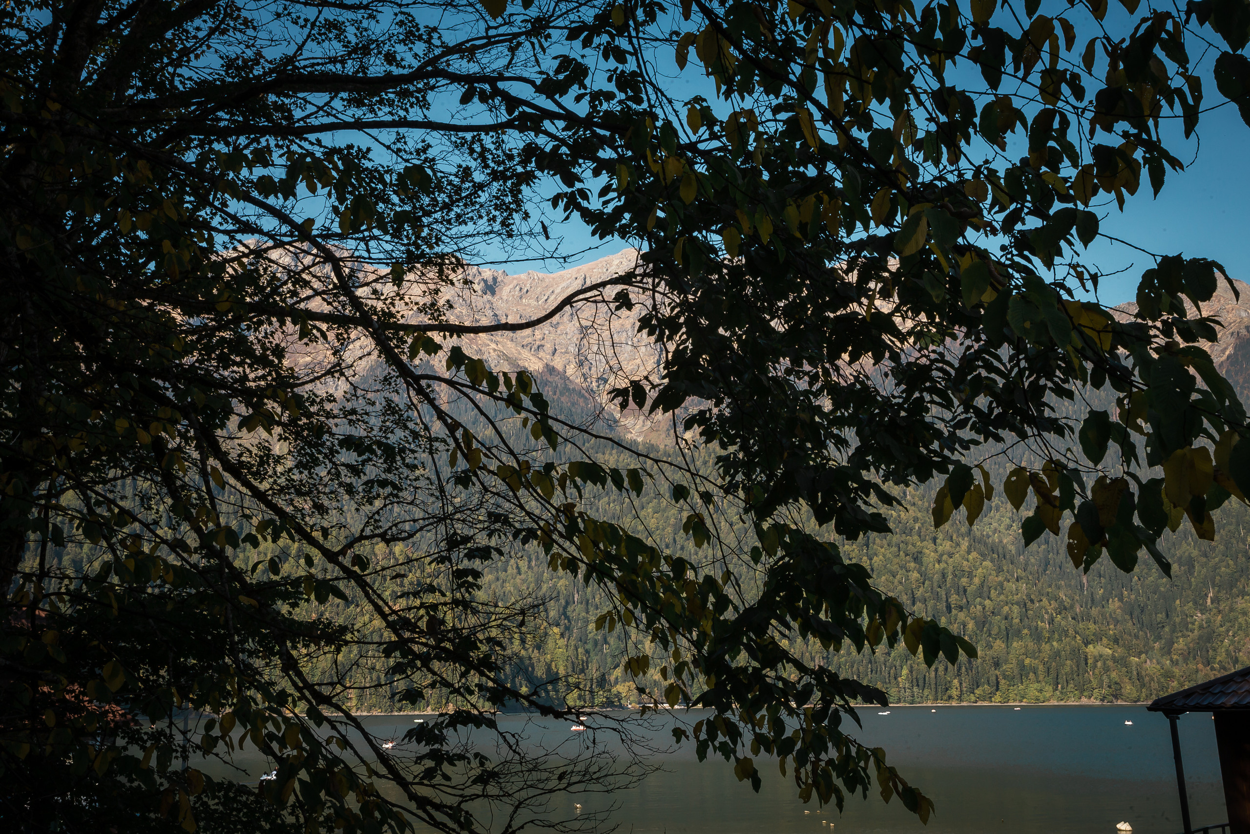 Абхазия с Senseoflife.club. Фотографиня Мария Дикова