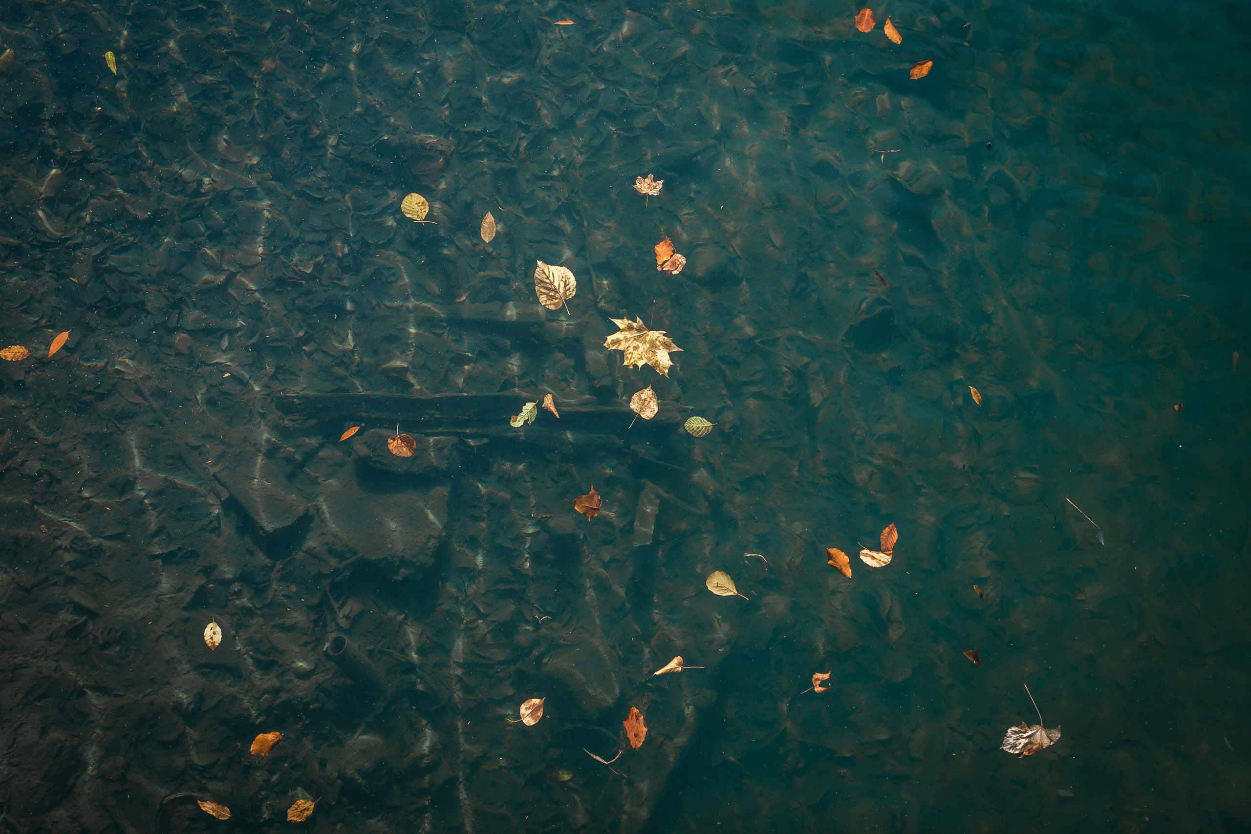 Абхазия с Senseoflife.club. Фотографиня Мария Дикова