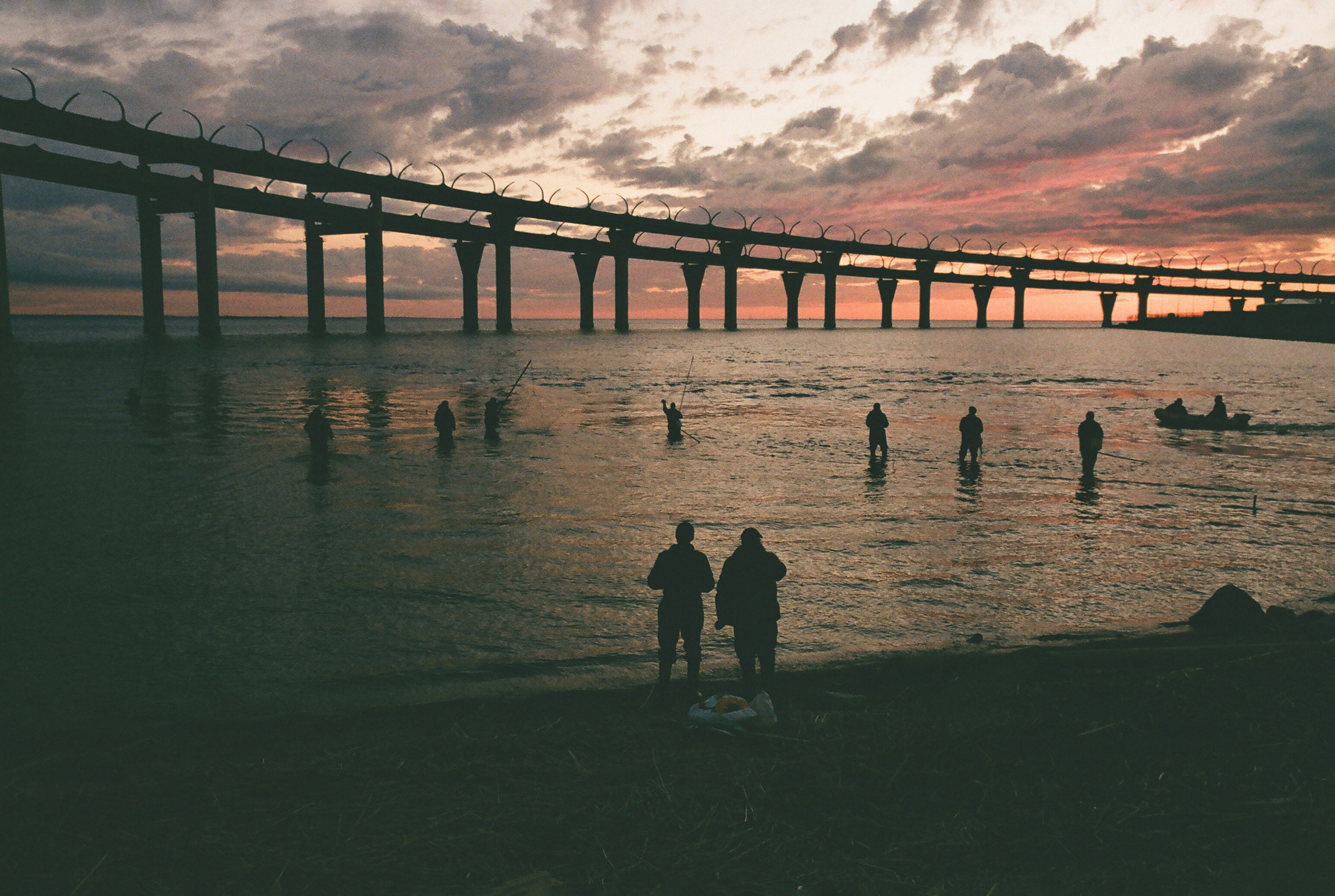 Фотографии цветные. Свадебный и семейный пленочный фотограф в Петербурге Истомина Ирина