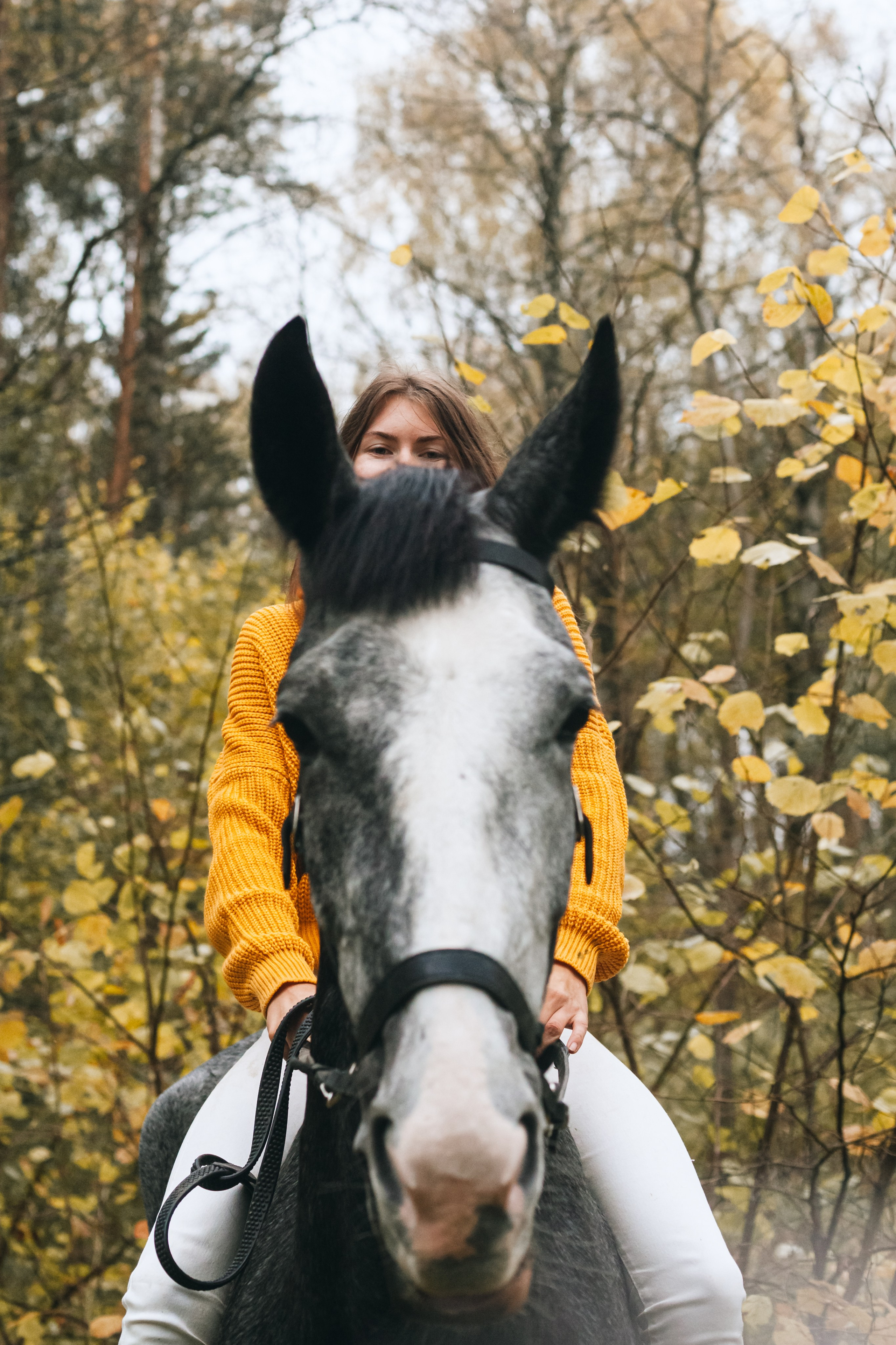 Аня и Джози. Фотограф-анималист Татьяна Степанова