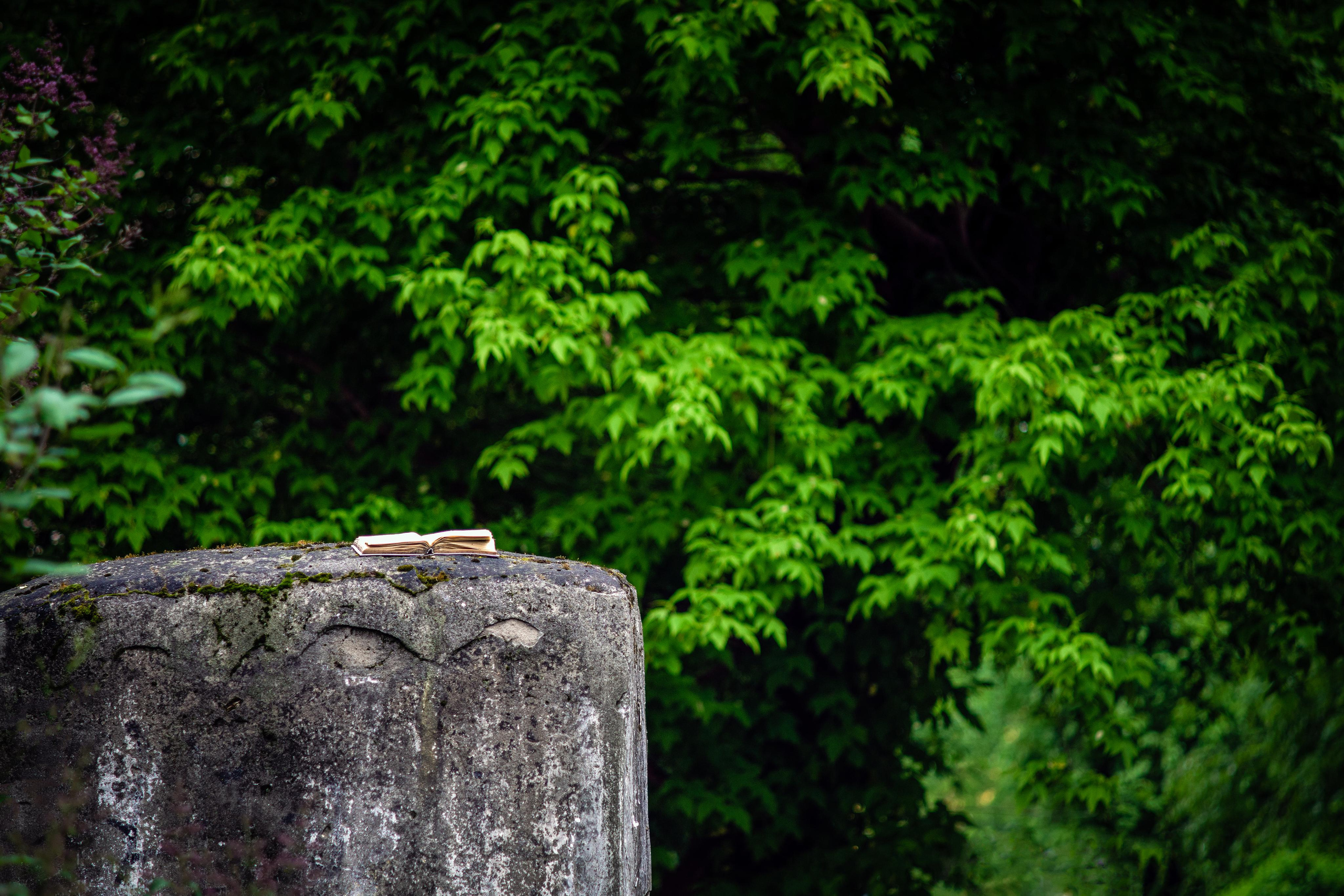 Эстетика Ебеней. Oleg Kozachok — Photographer with Protanopia | Portraits, Texture & Light