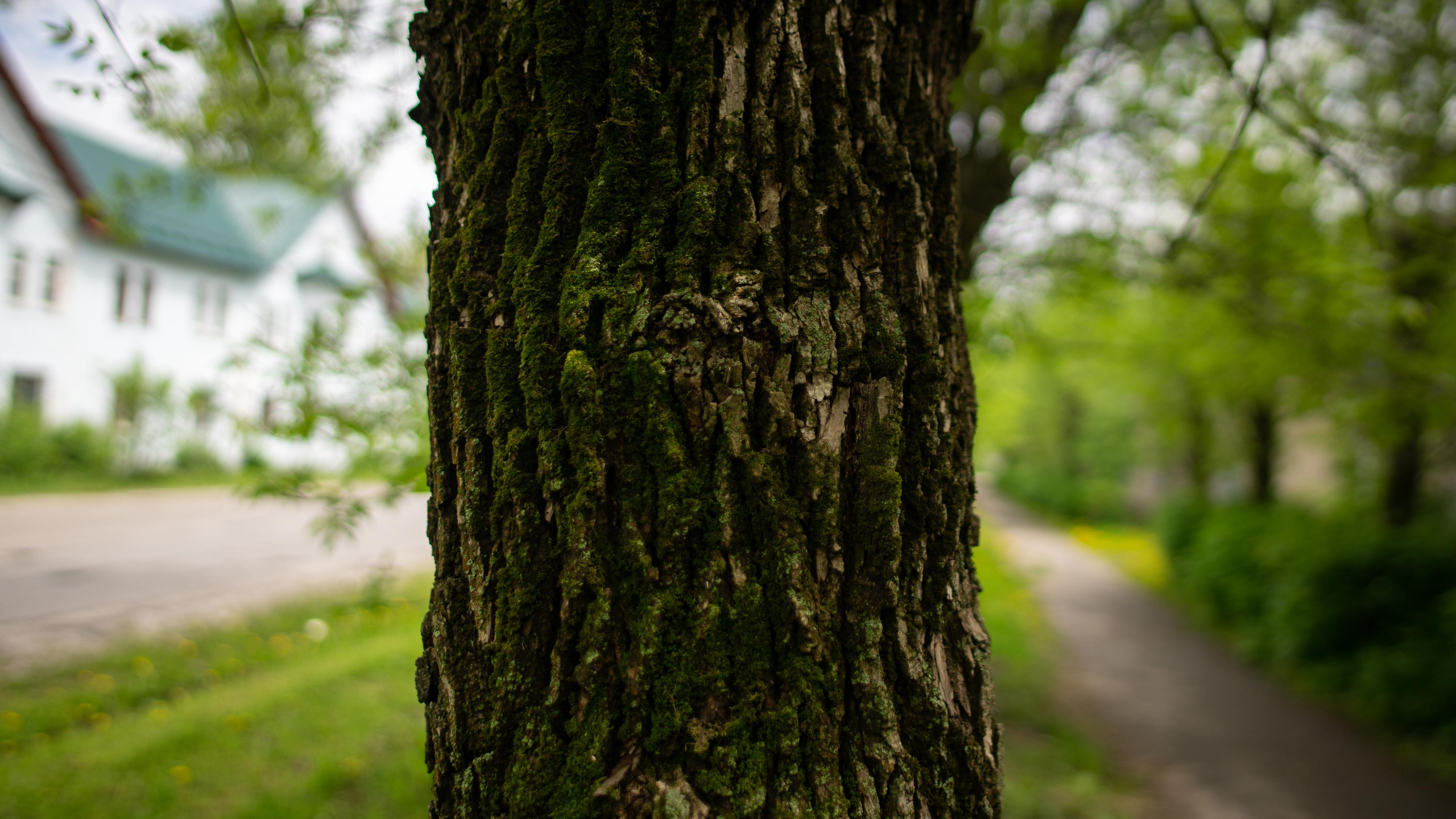 Эстетика Ебеней. Oleg Kozachok — Photographer with Protanopia | Portraits, Texture & Light