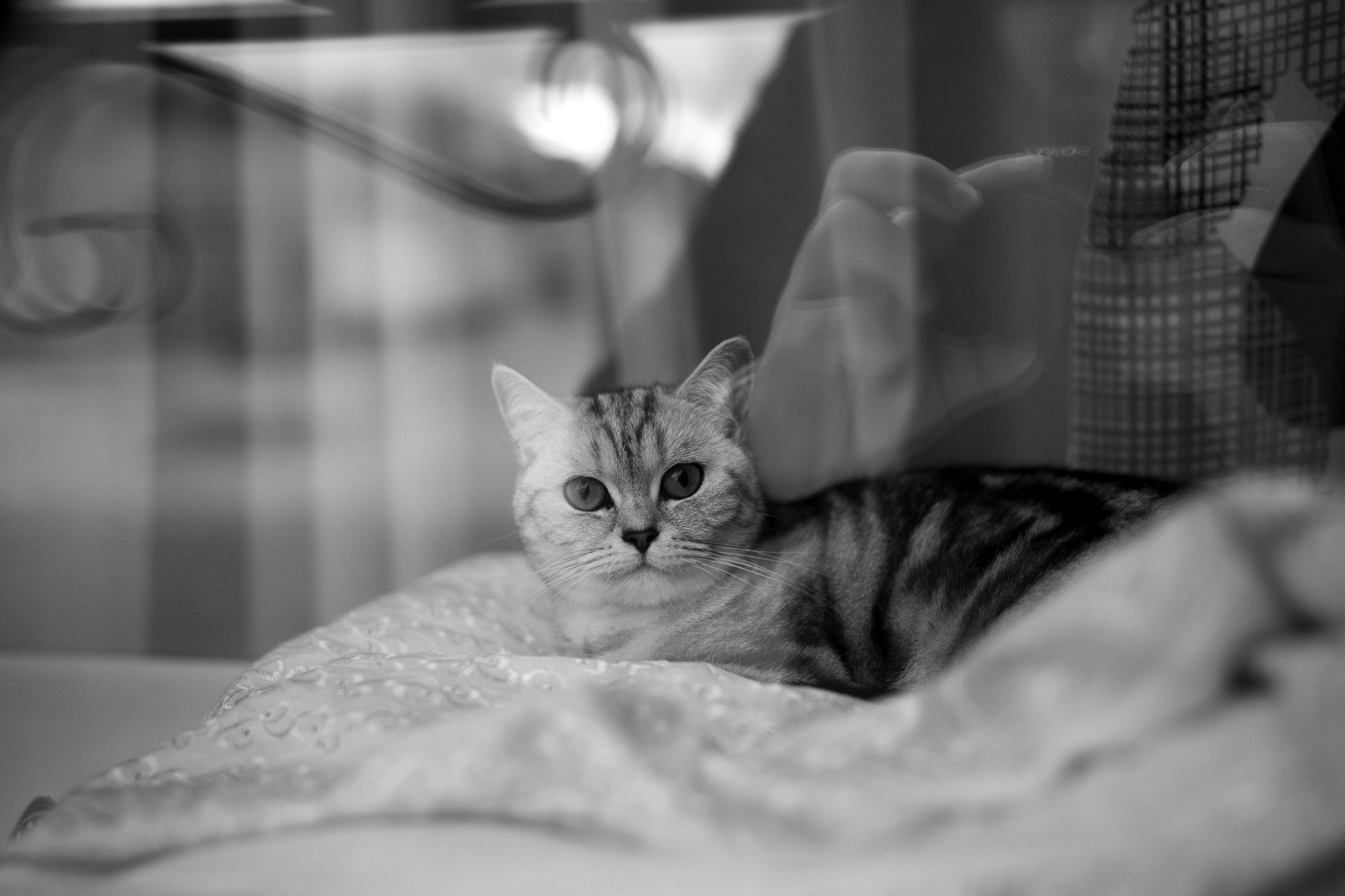 Меня снимаешь?. Oleg Kozachok — Photographer with Protanopia | Portraits, Texture & Light