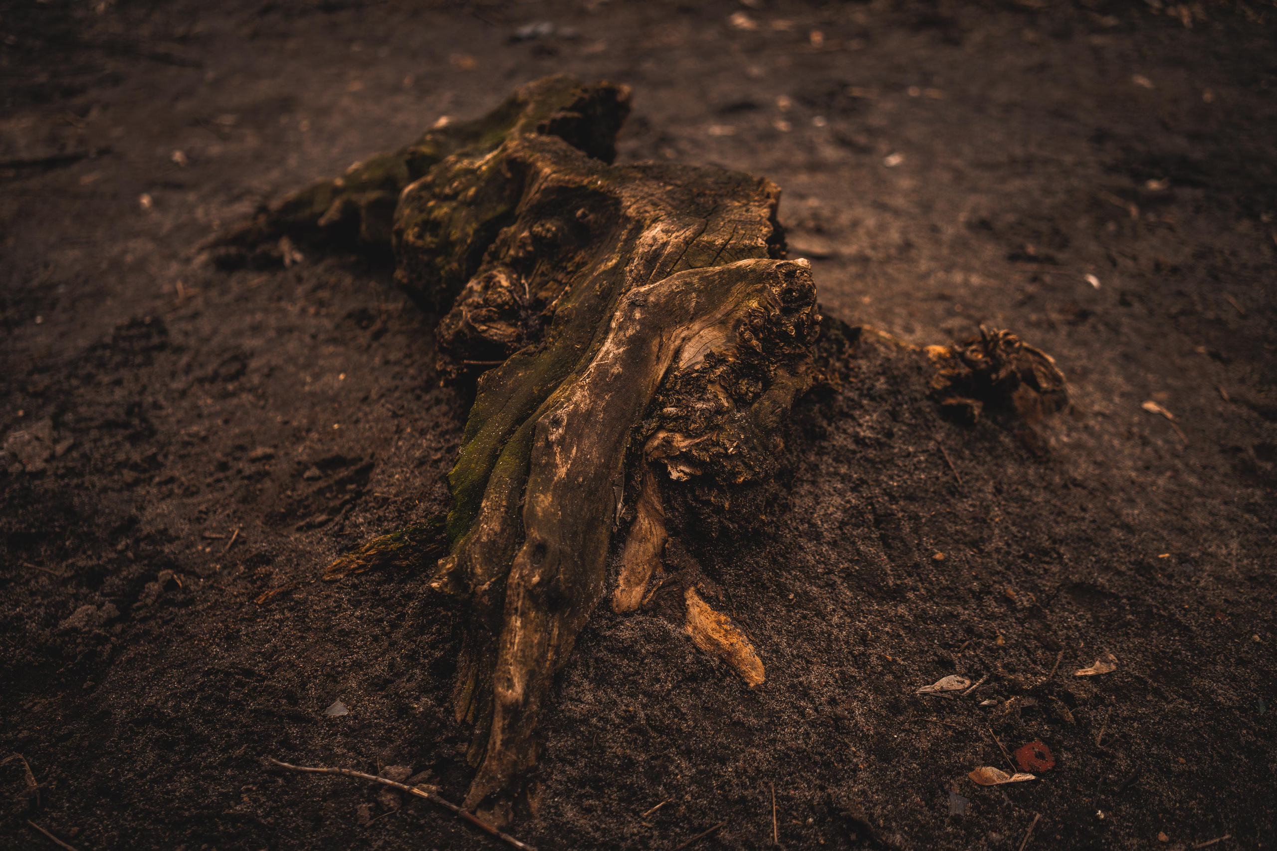 Эстетика Ебеней. Oleg Kozachok — Photographer with Protanopia | Portraits, Texture & Light