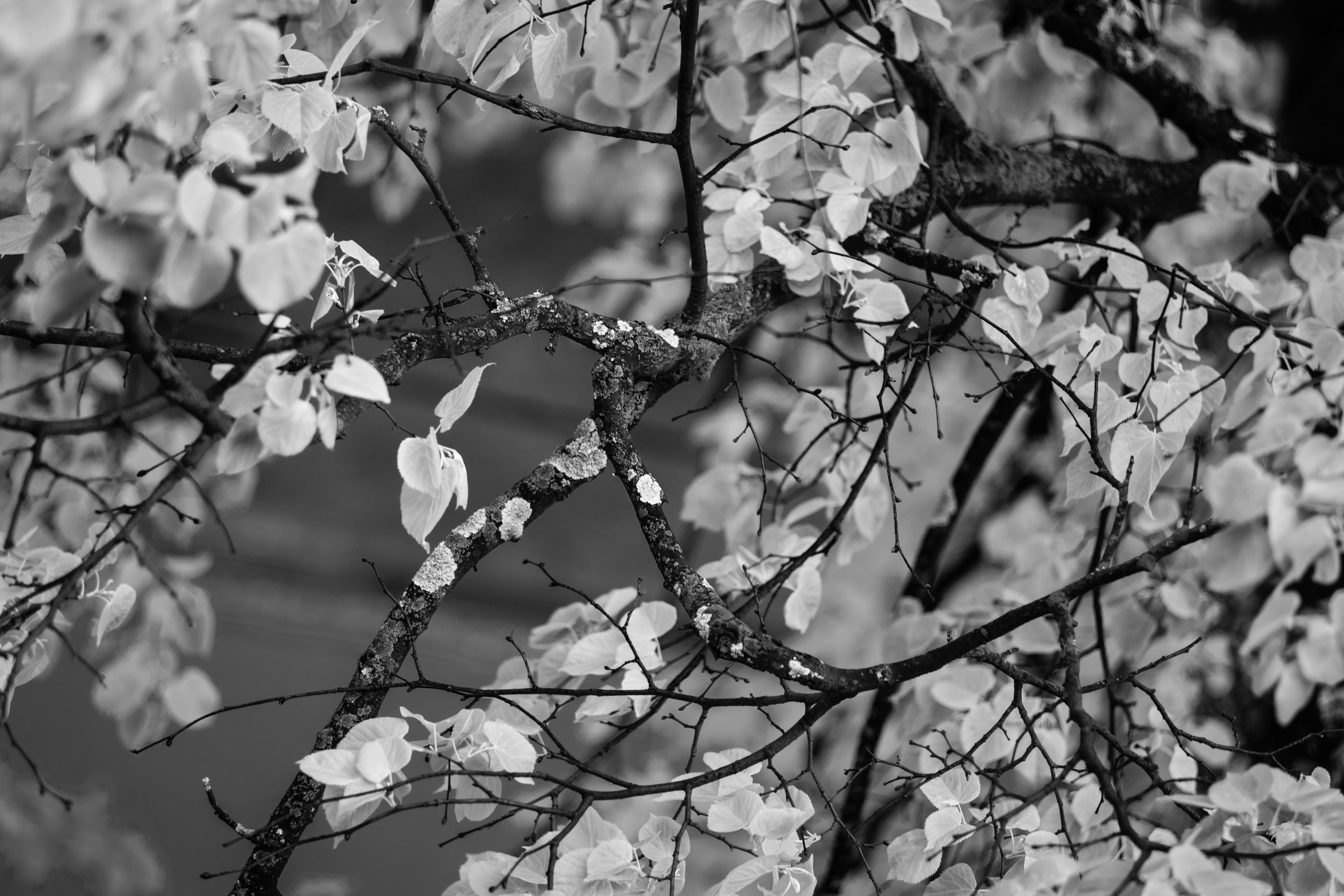 Эстетика Ебеней. Oleg Kozachok — Photographer with Protanopia | Portraits, Texture & Light