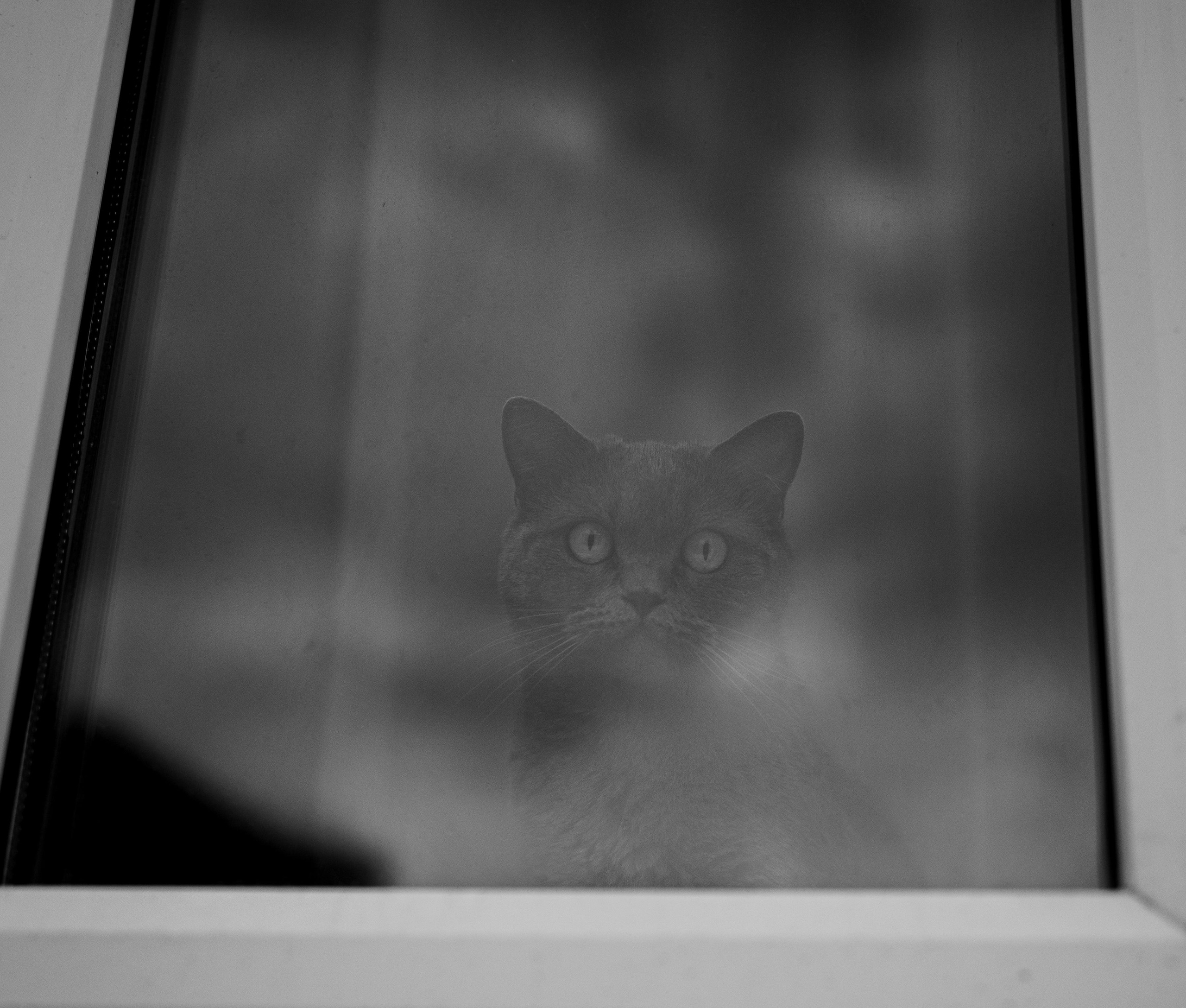 Меня снимаешь?. Oleg Kozachok — Photographer with Protanopia | Portraits, Texture & Light