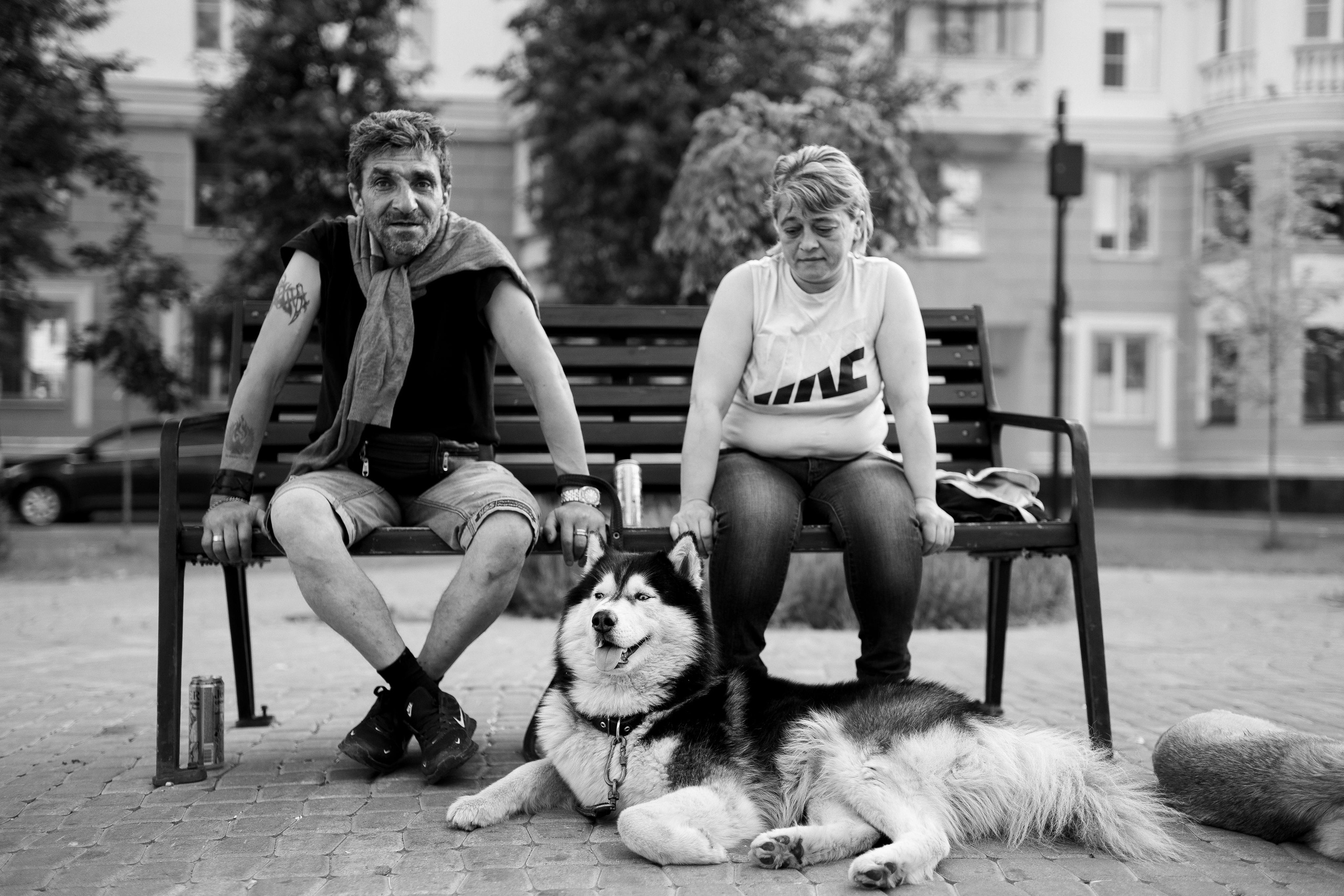 уличная съемка приветливые люди на лавке с собакой хаски