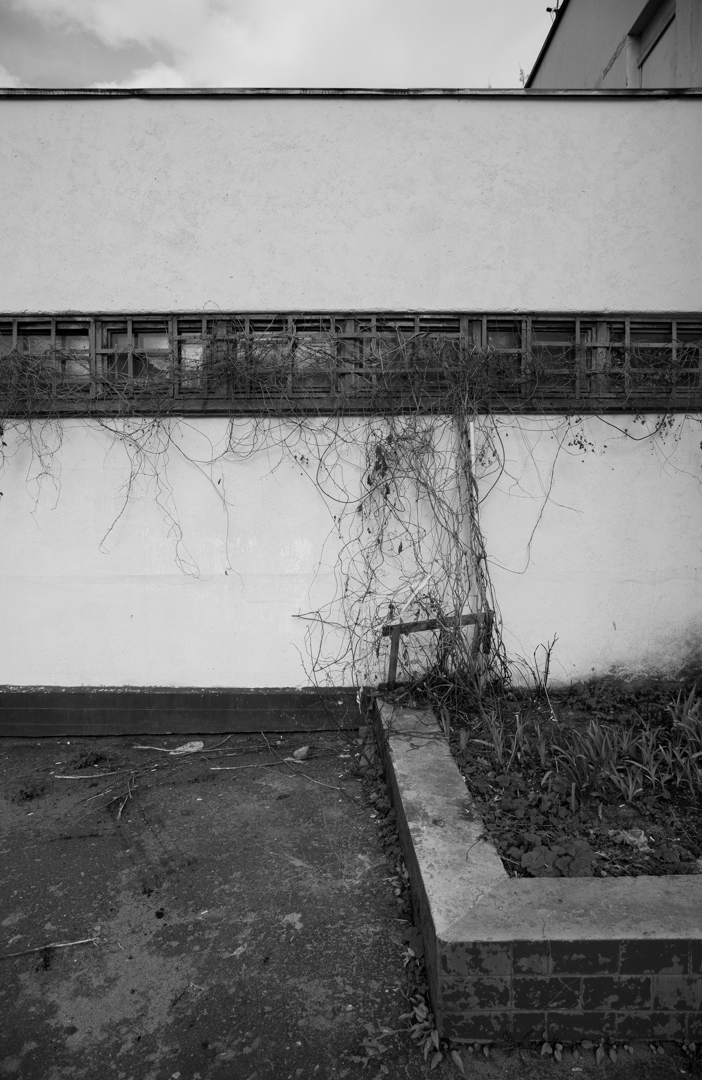 Эстетика Ебеней. Oleg Kozachok — Photographer with Protanopia | Portraits, Texture & Light