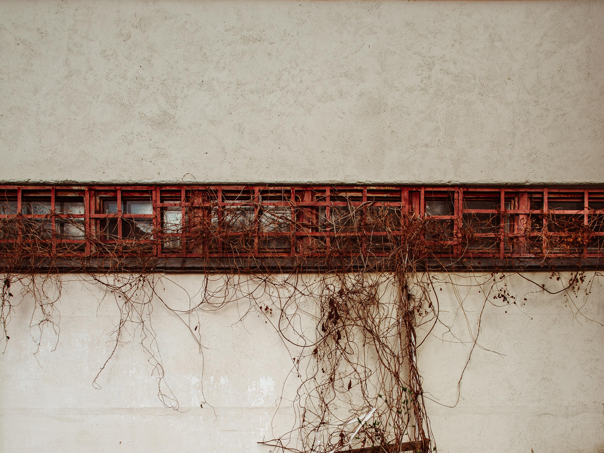 Эстетика Ебеней. Oleg Kozachok — Photographer with Protanopia | Portraits, Texture & Light