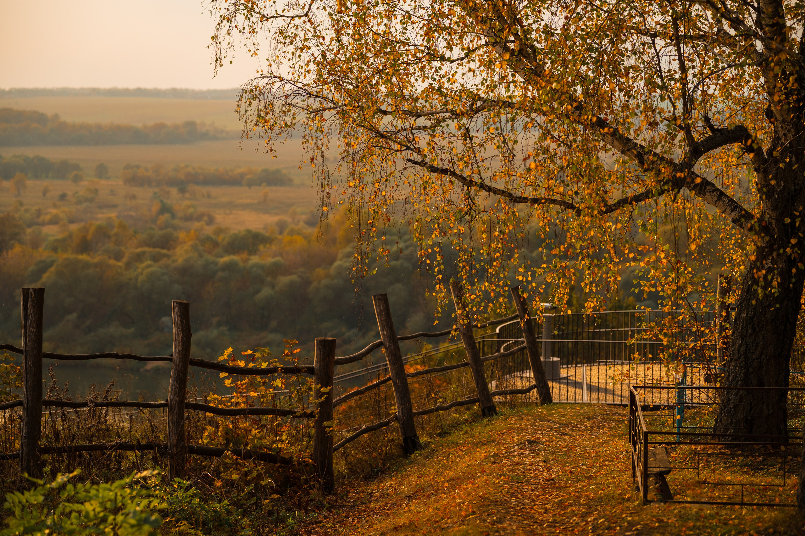 Поленово, Бёхово. Фотограф и видеооператор в Туле | Даниил Рыбак