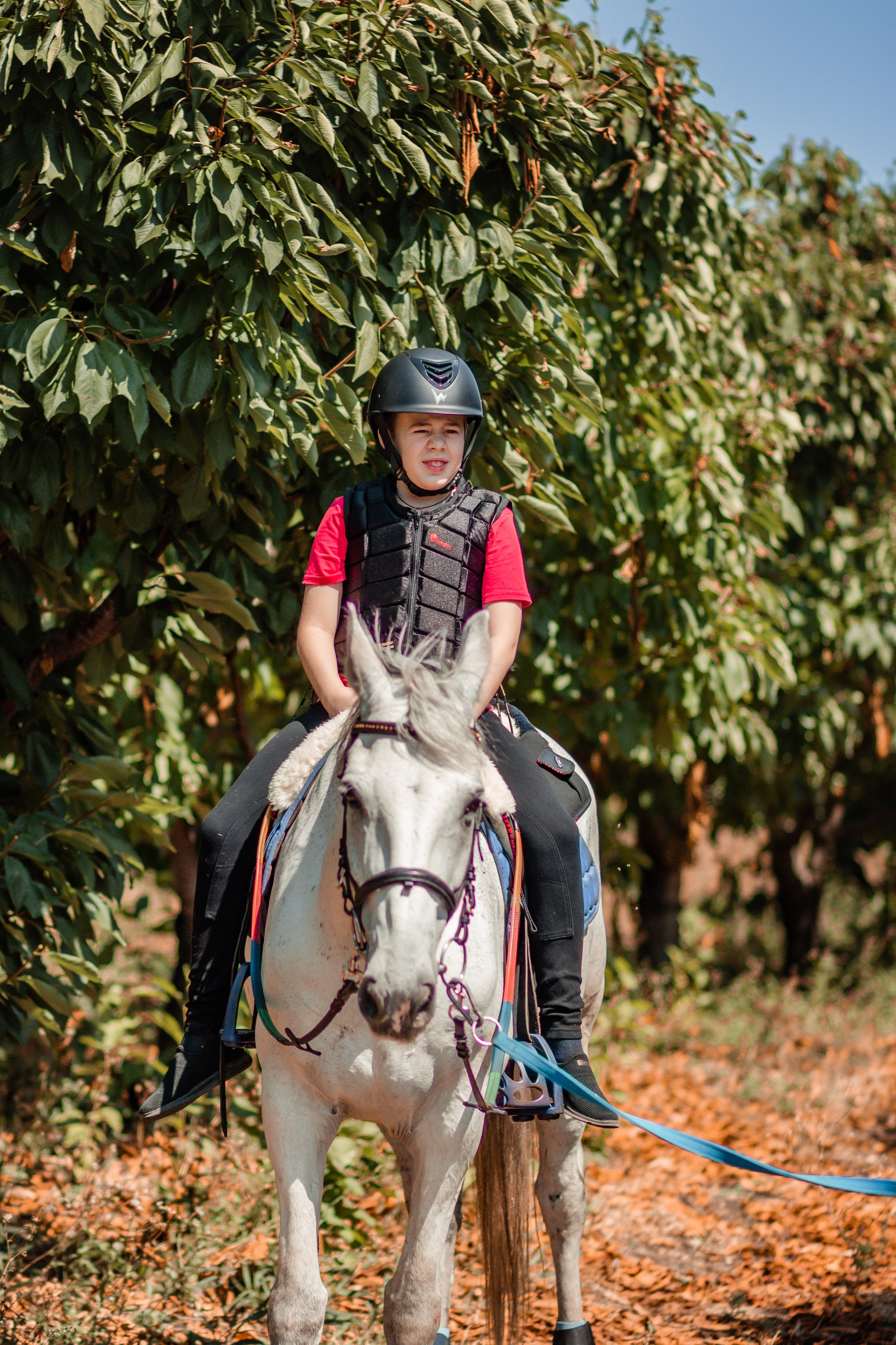 Выезды в поля на лошади