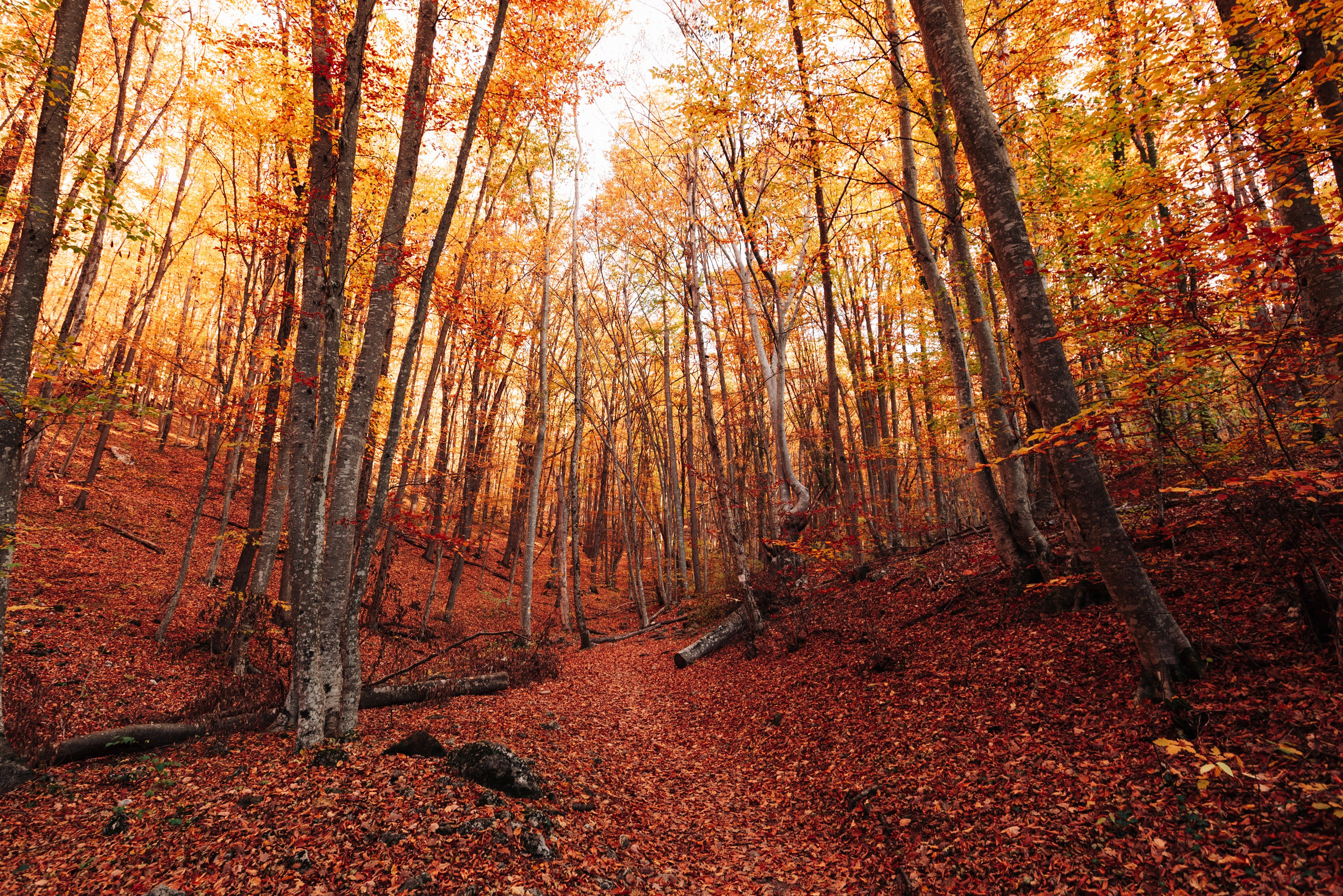 Пейзажи. Дмитрий Шалыгин — Ваш фотограф в Севастополе и Крыму