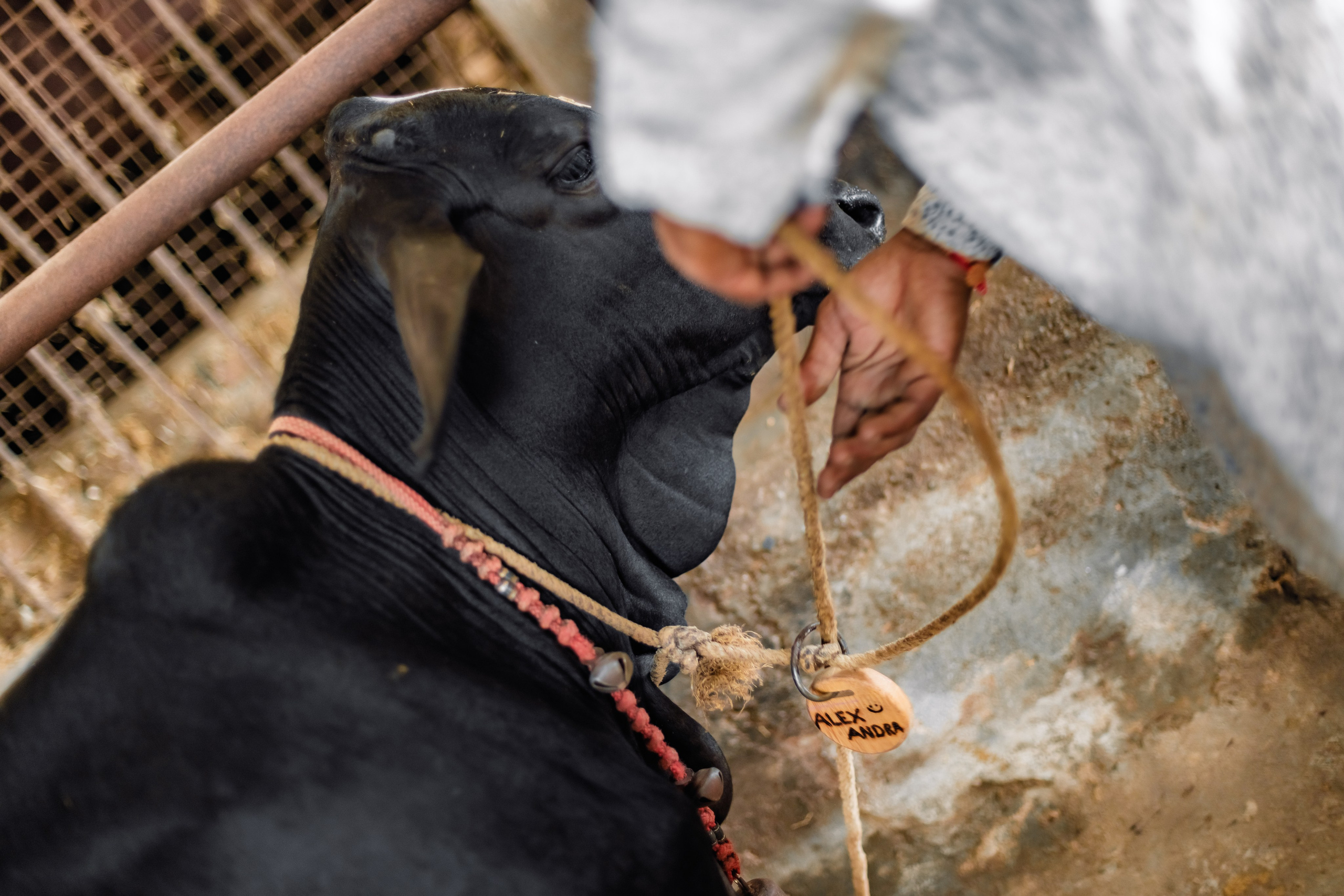 Devraha baba ji ashram life 2025. Mariam Bagdasaryan