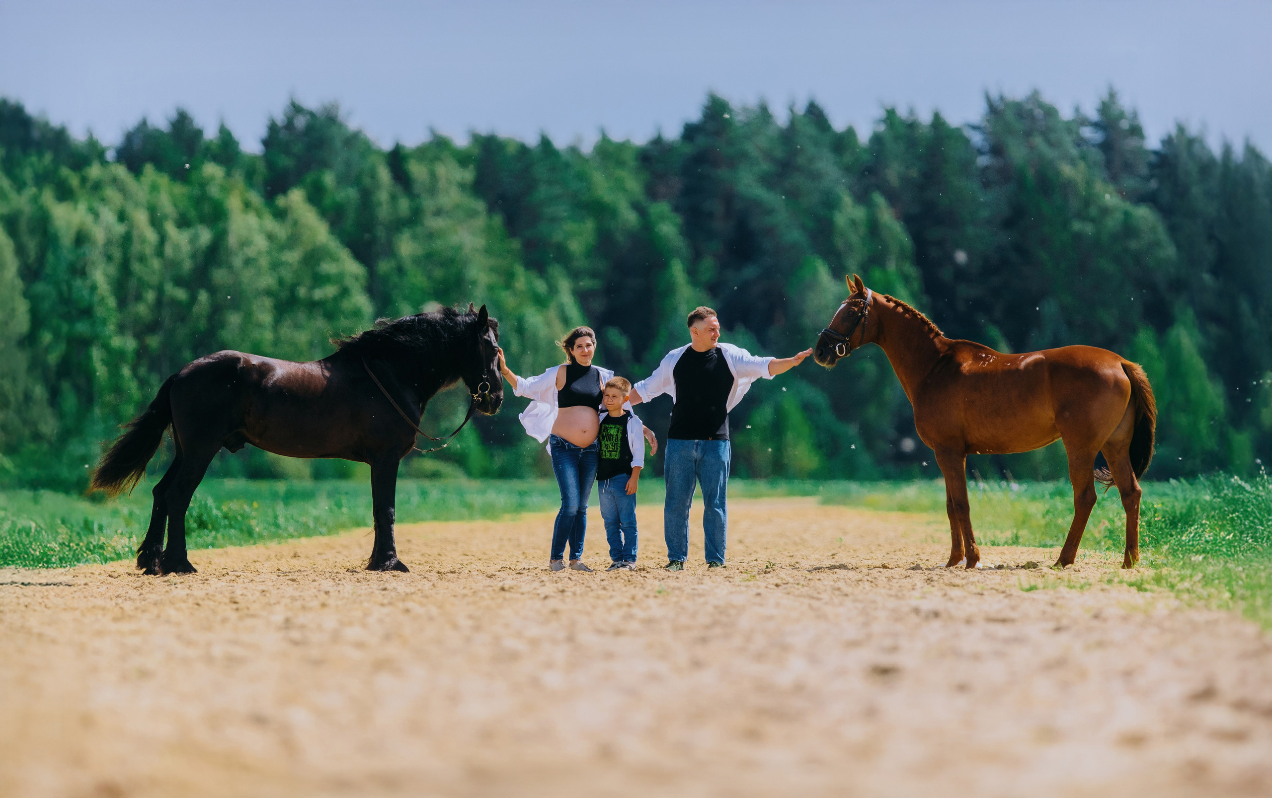 Лена, Серёжа, Петя и Брабус. Фотограф-анималист Ксендзова Кристина
