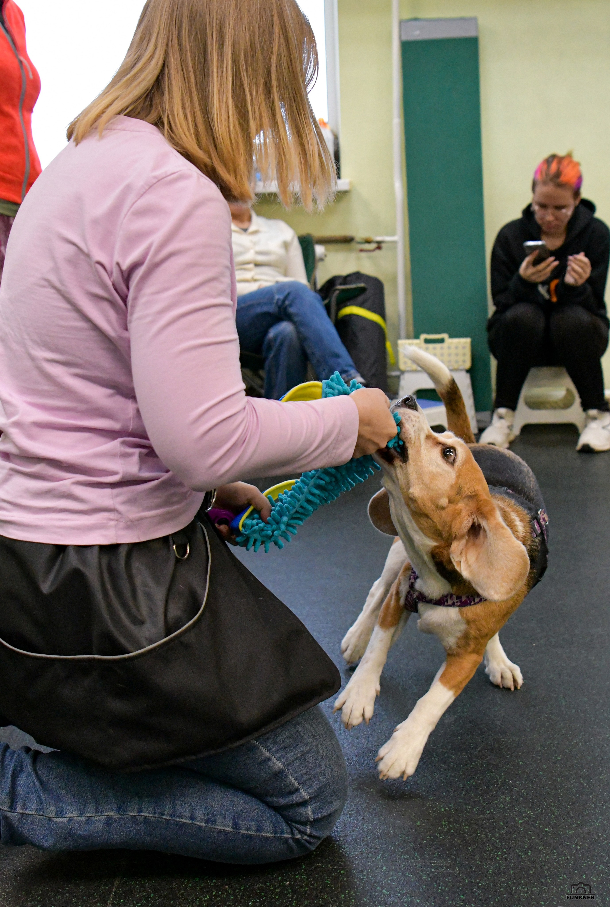 Кинологический клуб «Бодрый хвост». Свой взгляд через объектив