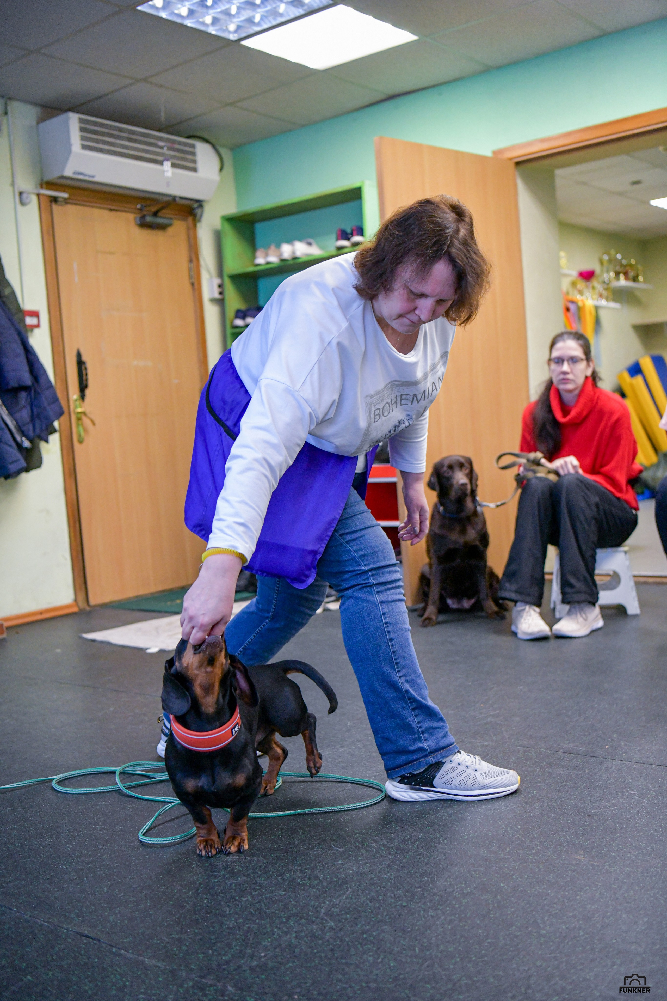 Кинологический клуб «Бодрый хвост». Свой взгляд через объектив