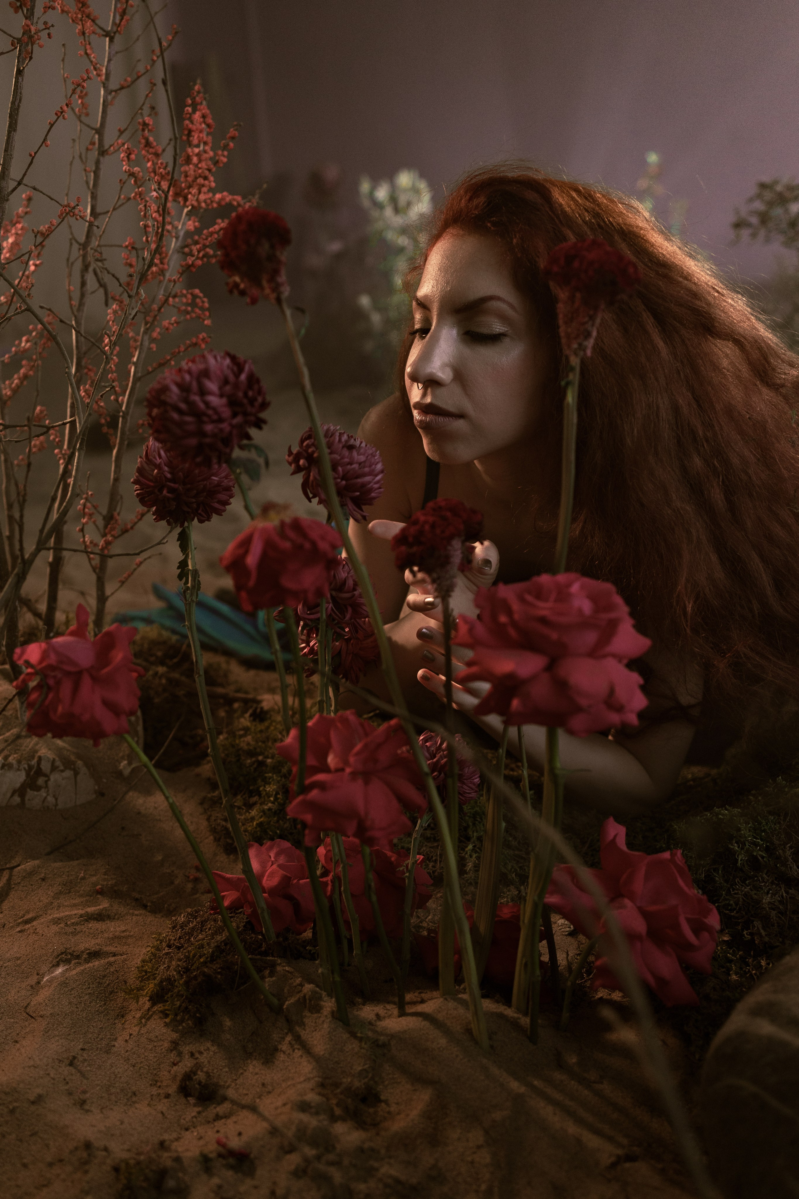 Спящая красавица