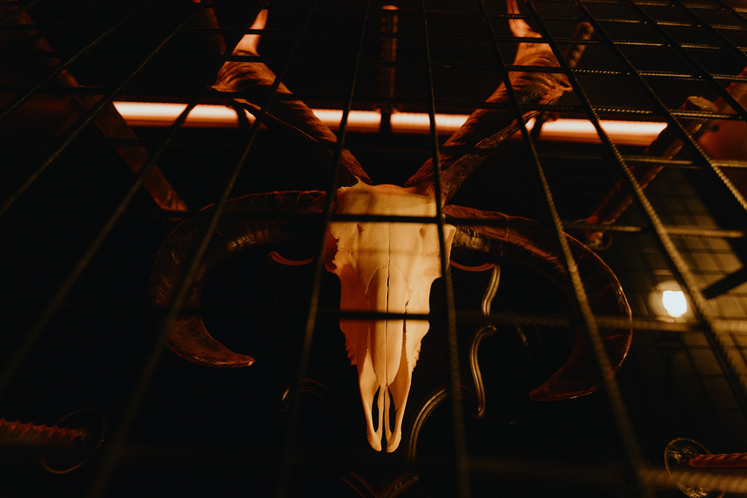 Рога и Копыта корпоратив. LEVORIGINAL