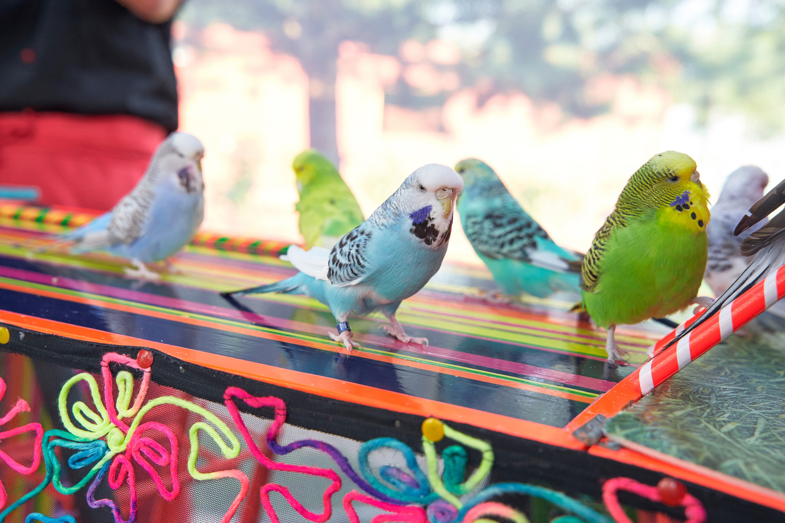 День рождения Максима. Yankovski_001