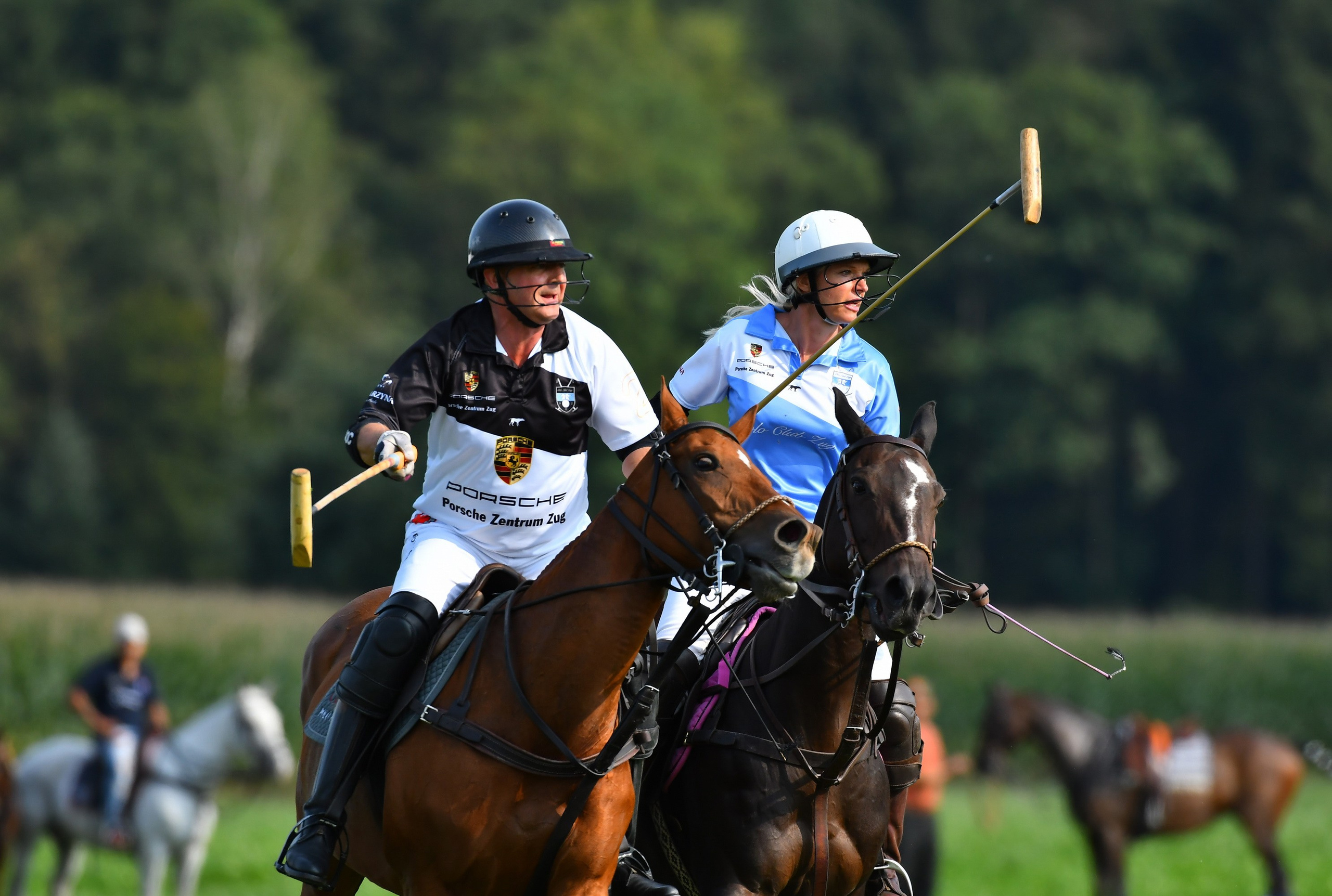 Polo art photos. Art photos of horses — ARTUR BABOEV | Photographer