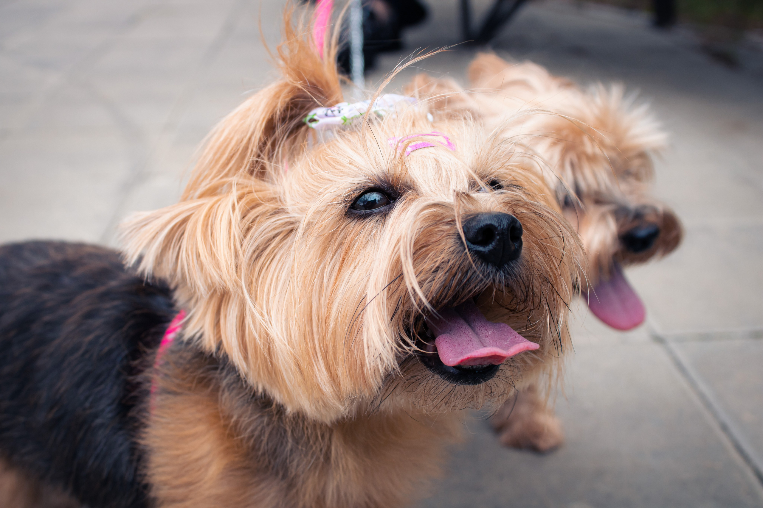 Вдохновение. Бутакова Елена фотограф в Екатеринбурге