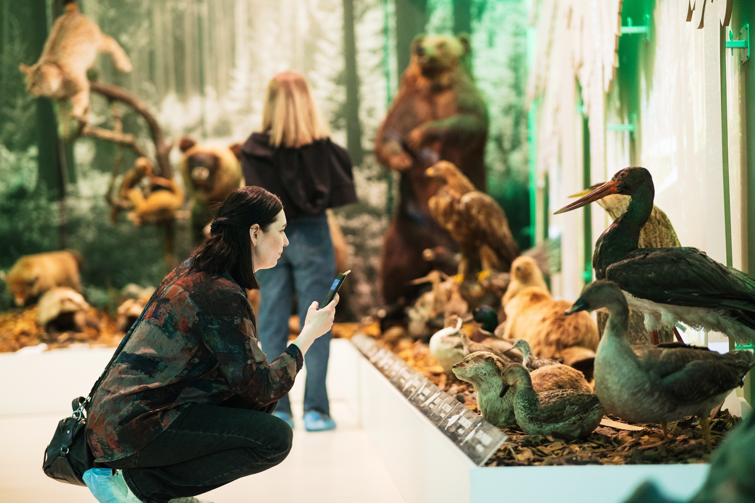 Ночь музеев 2024. Фотограф на любое событие в Кемерово