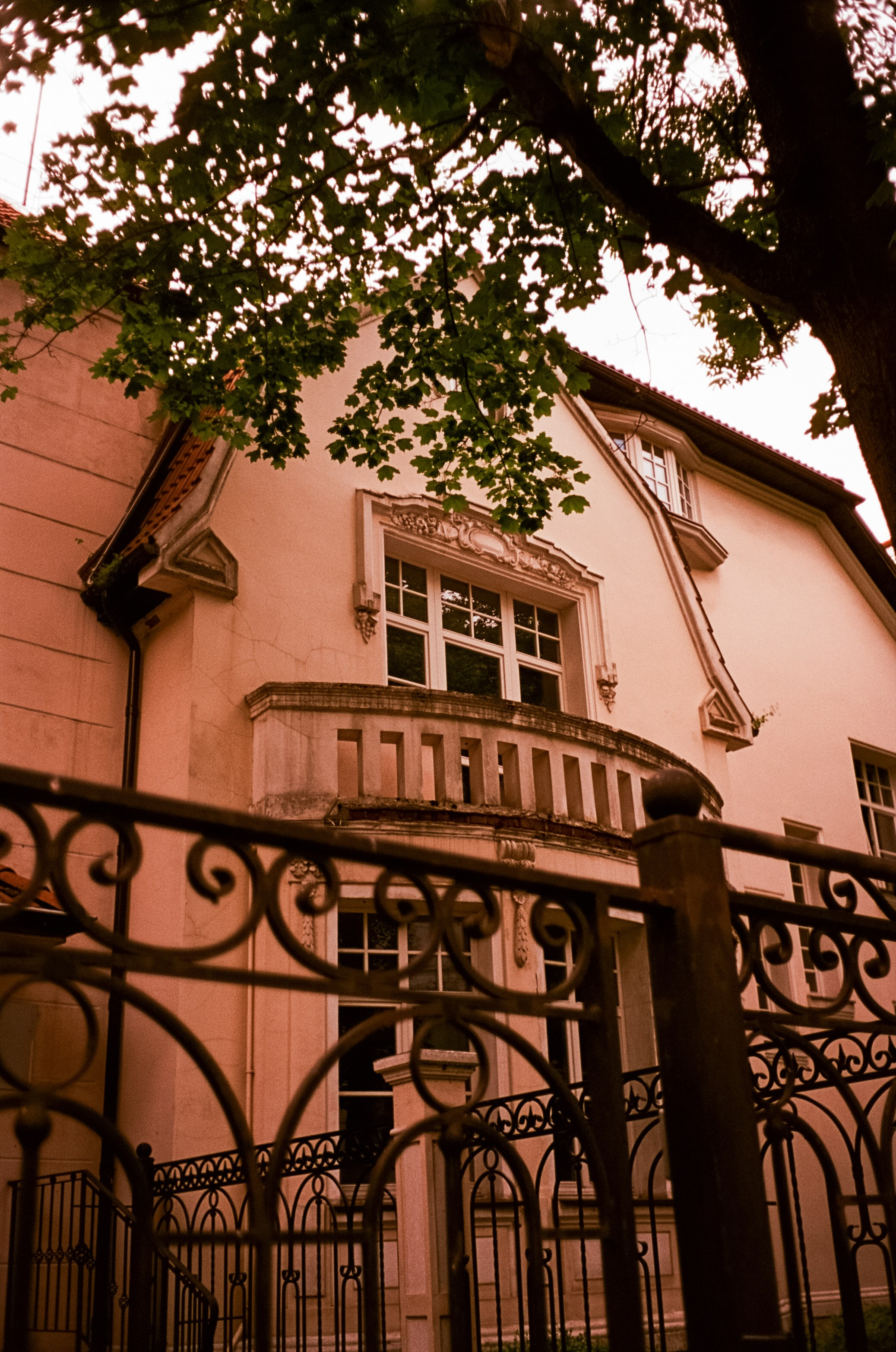 12–13 июля Калининград / Minox 35 GT (2) / Kodak Aeronega 100 (Kodak Aerocolor IV)