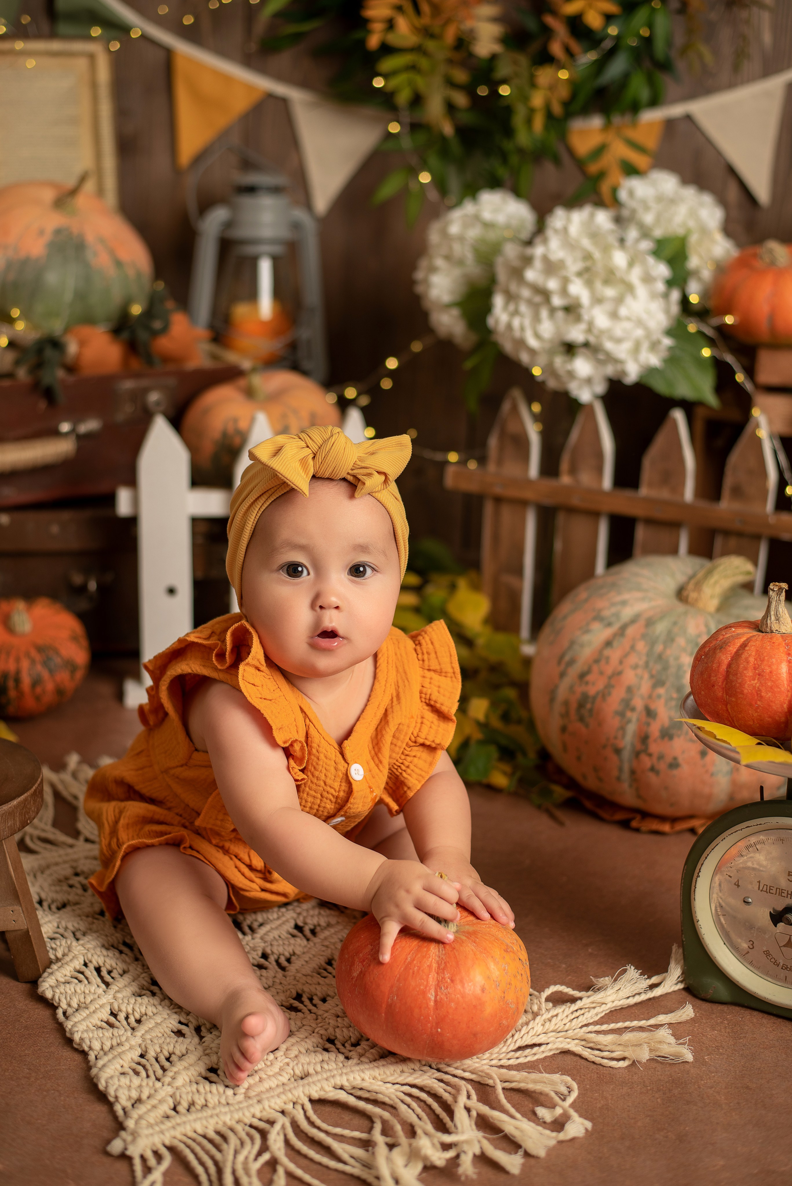 Евочка- ФП «Оранжевые Тыковки». Семейный и детский фотограф Наталья Горда