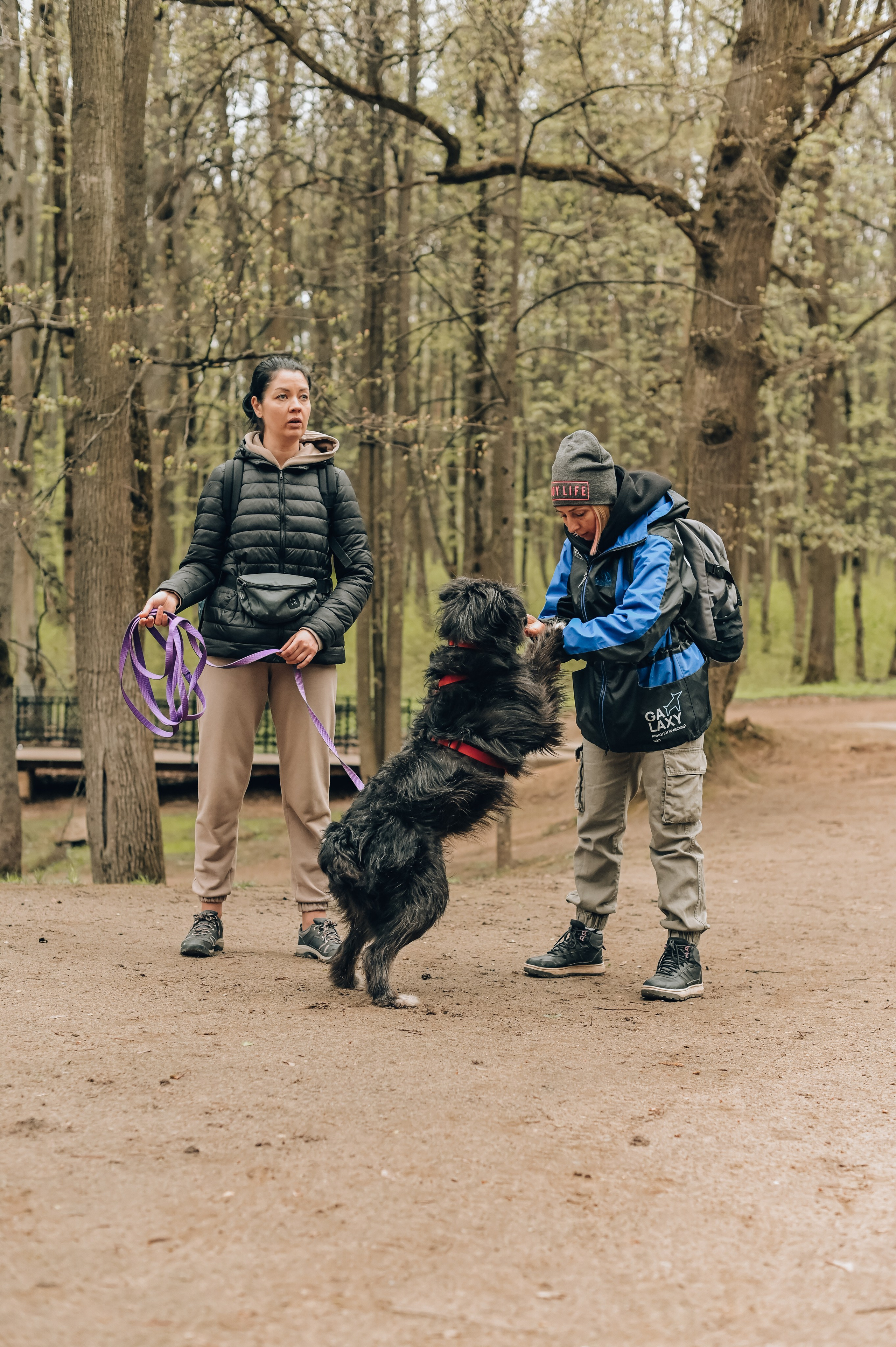 Занятие с кинологом. Семейный и репортажный фотограф в Москве Анастасия Трубкина