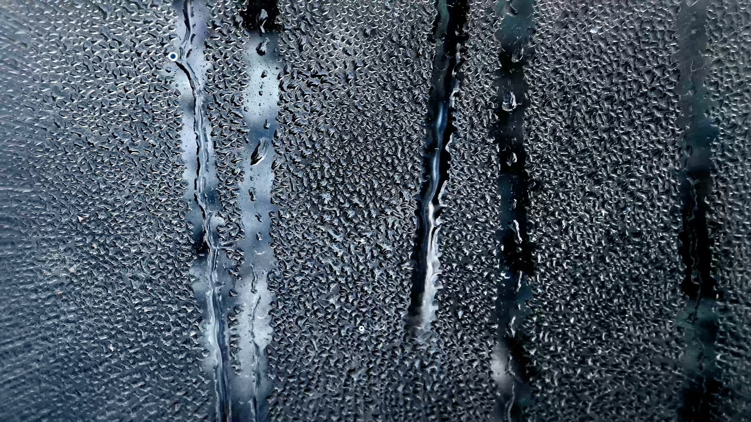 Лука Шарабидзе. Оператор. Лука Шарабидзе. Оператор, фотограф