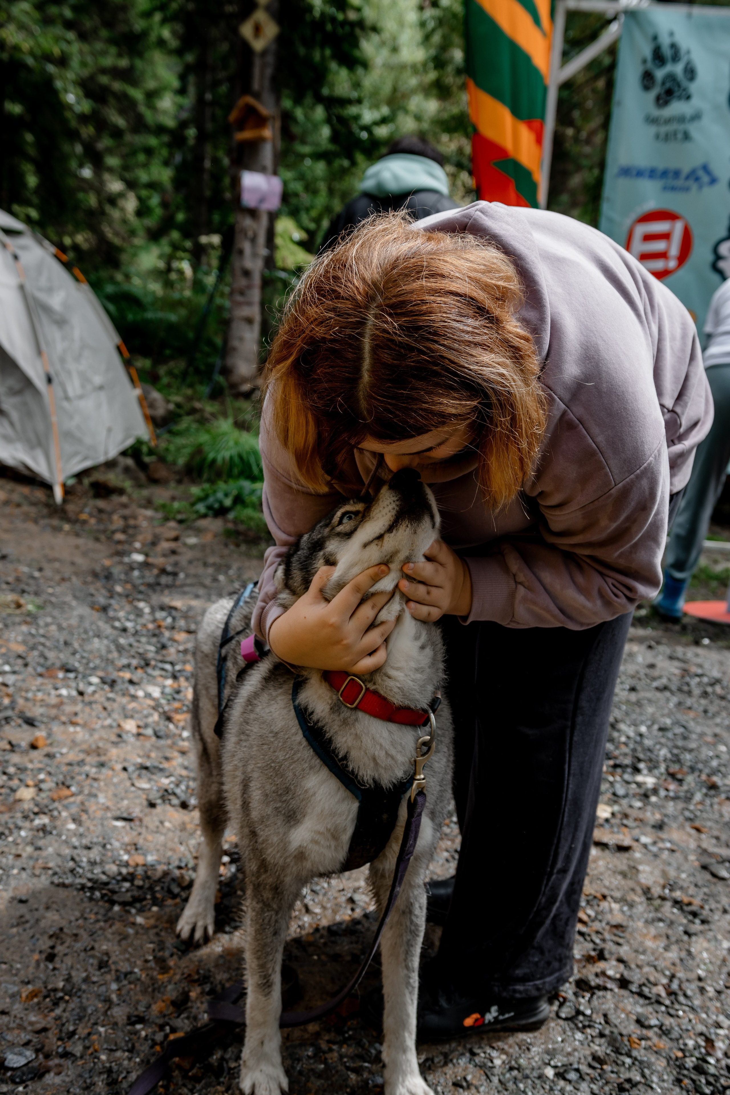 Дог-треккинг