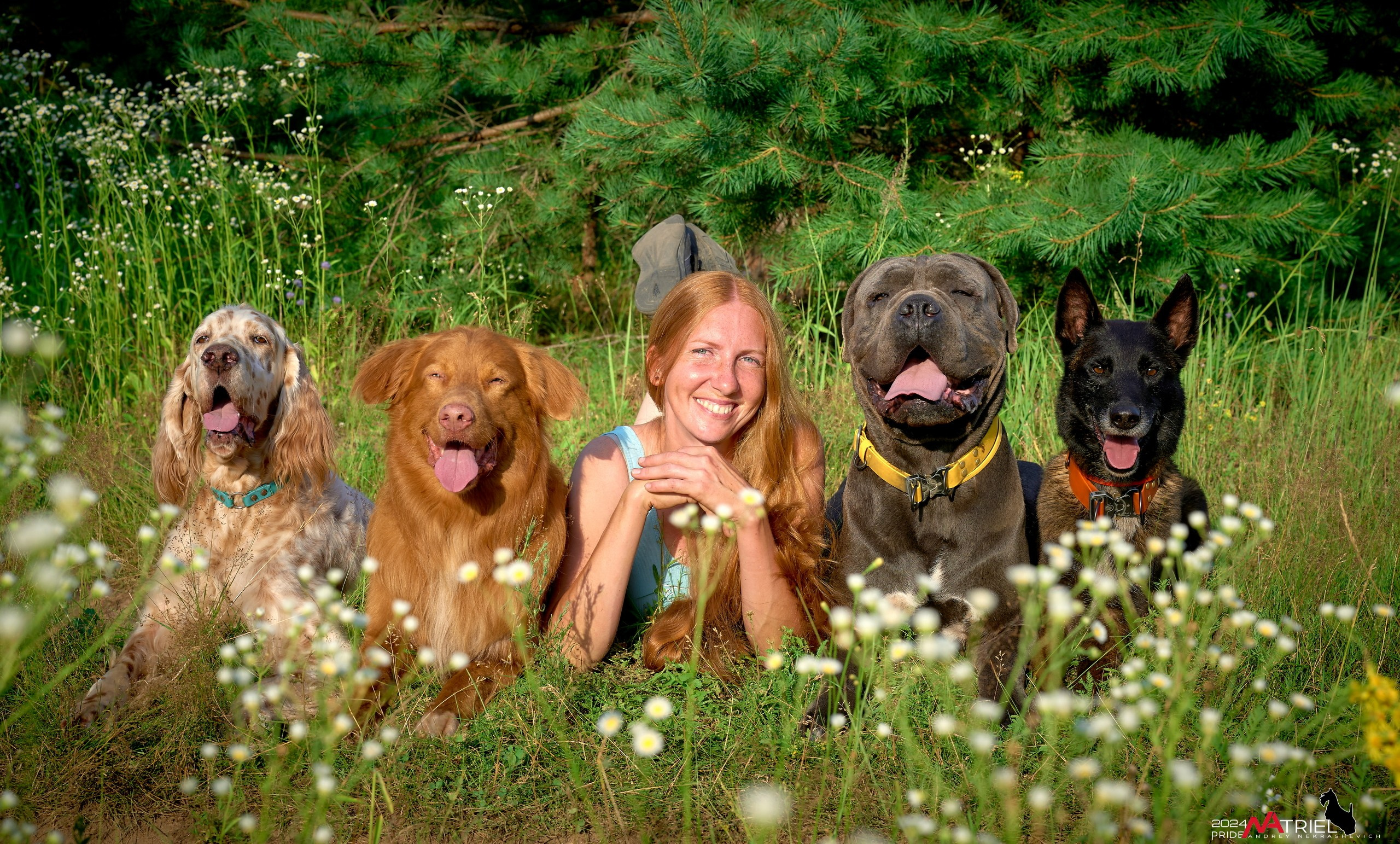 Репортаж из кинологического лагеря