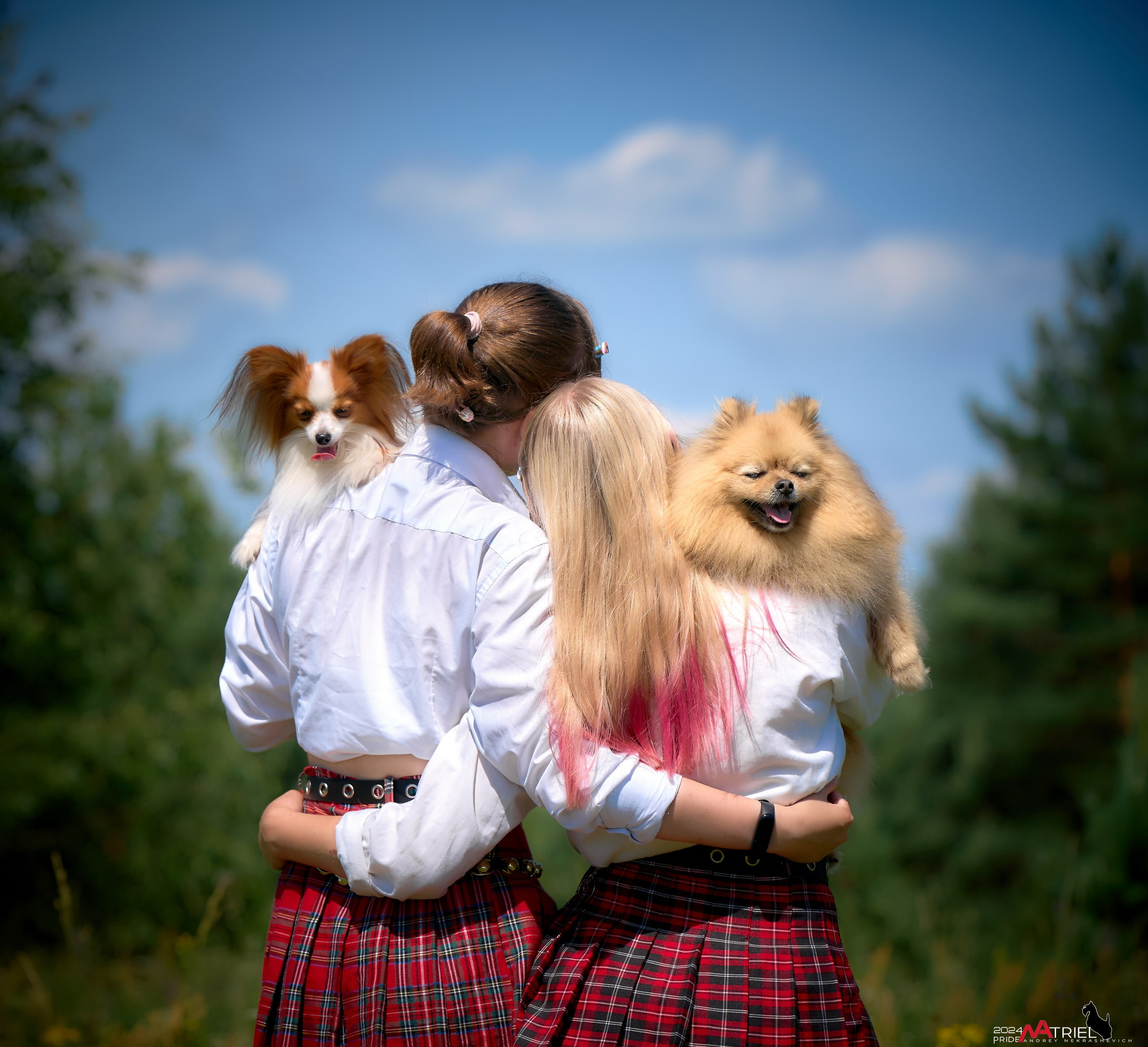 Репортаж из кинологического лагеря