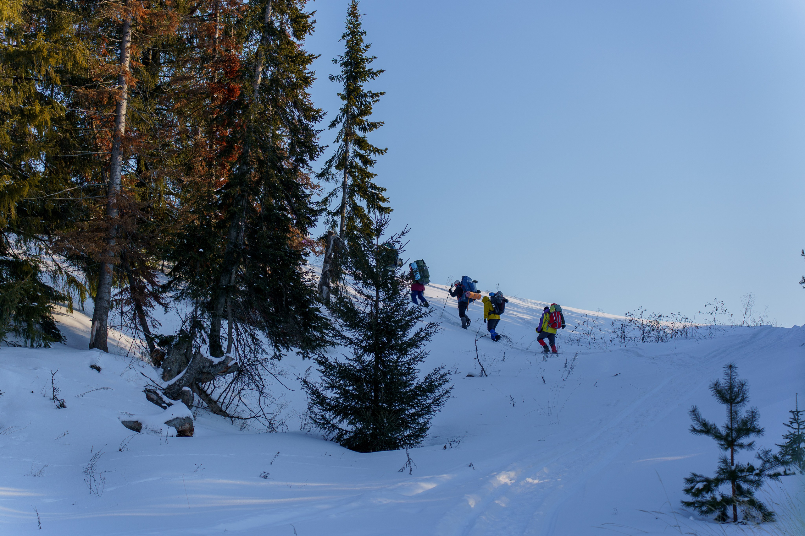Семинар по безопасности в туризме
