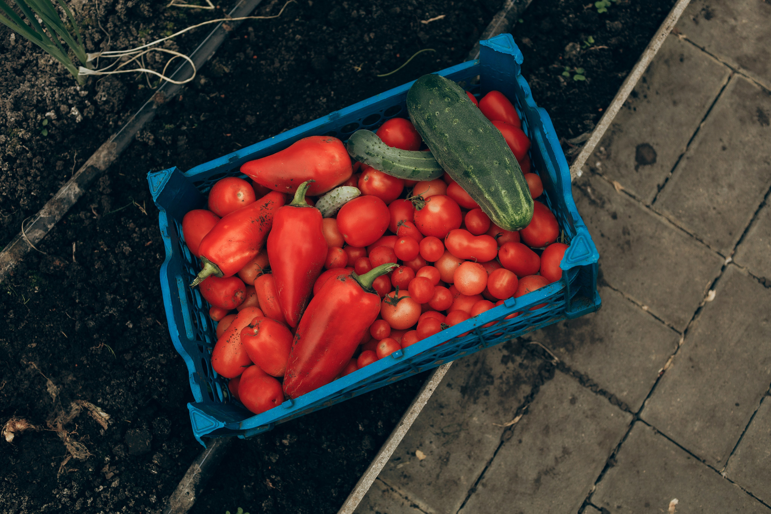 Алёна. Портретный и свадебный фотограф в Белгороде Глухова Кристина