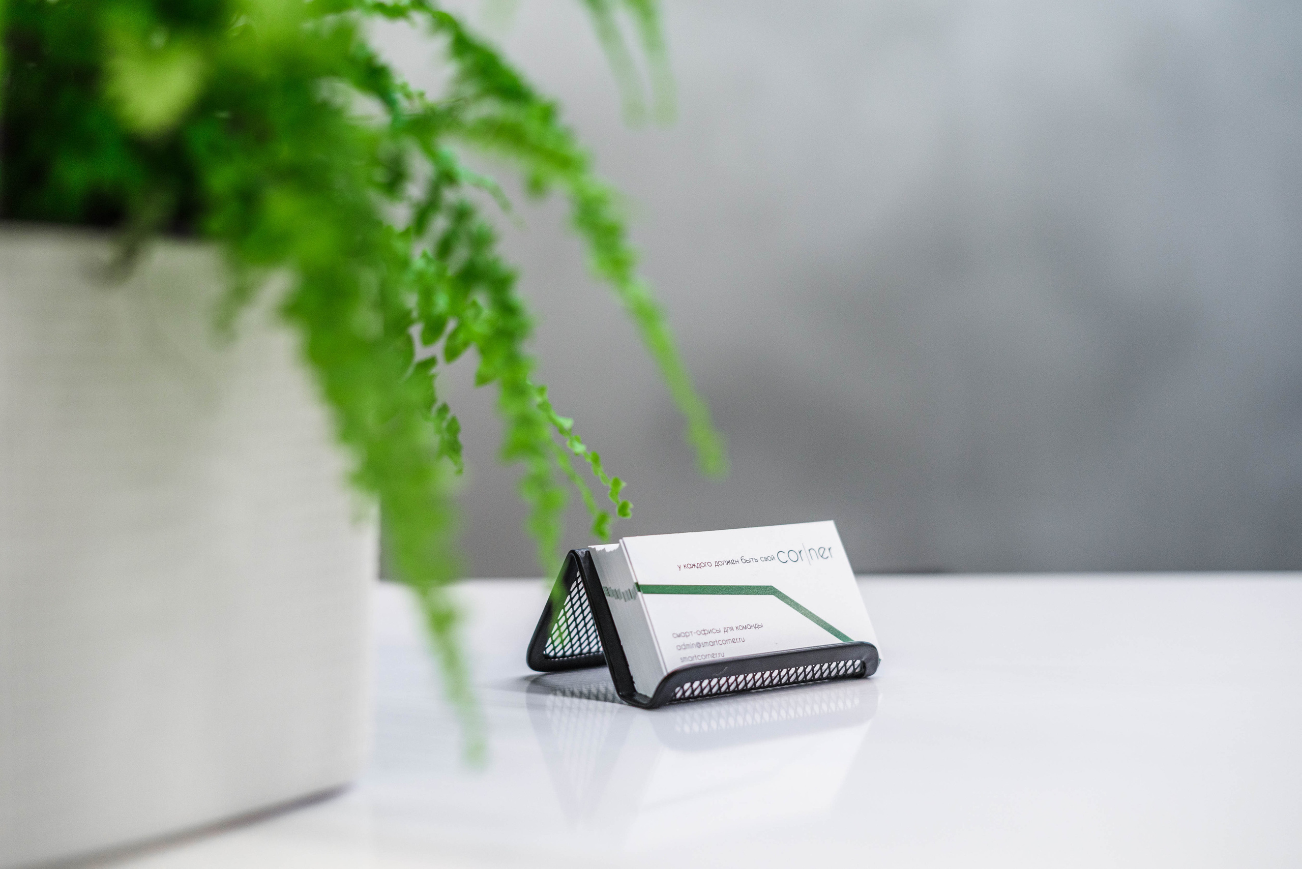 Коммерческая недвижимость. Интерьерный и репортажный фотограф в Санкт-Петербурге