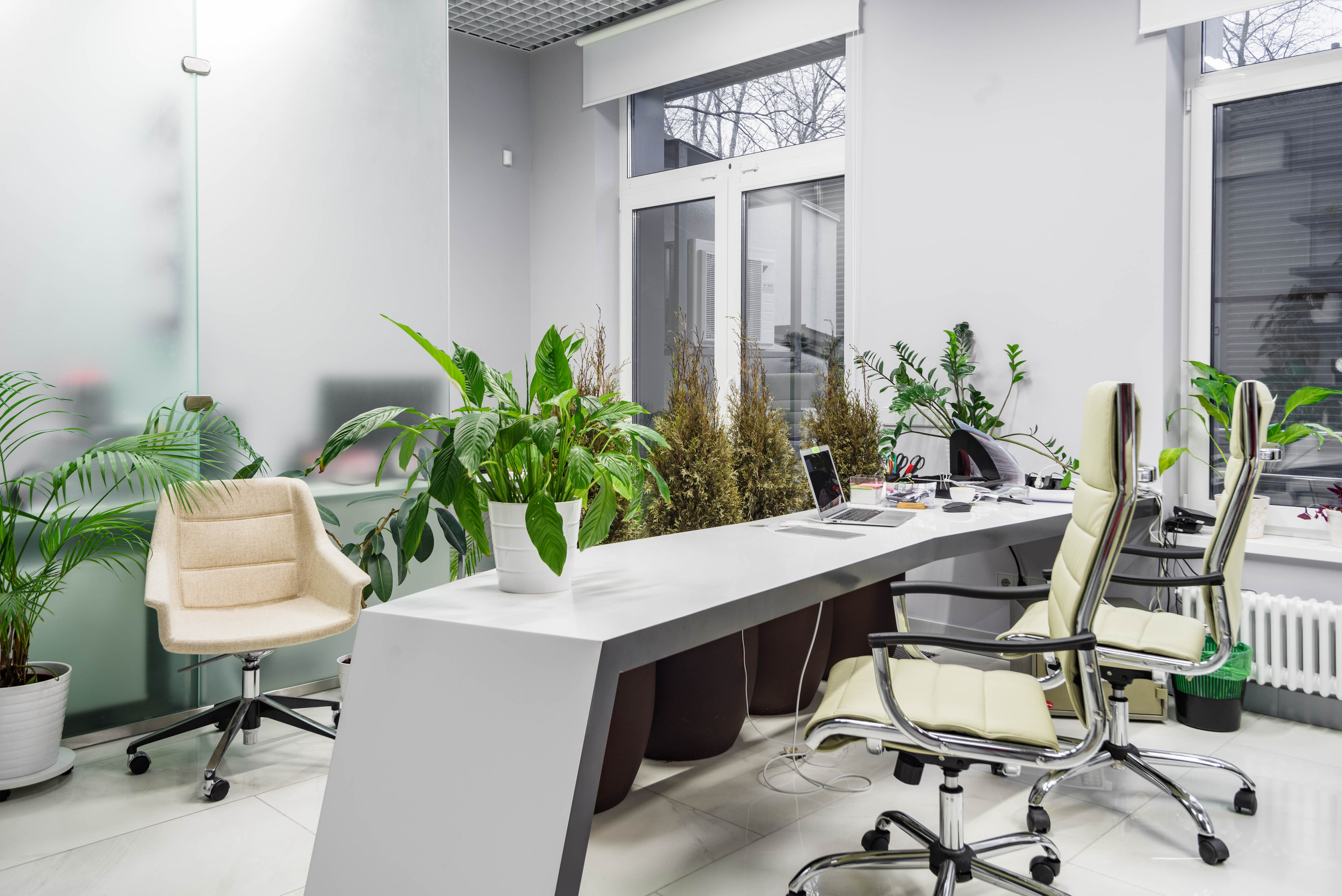 Коммерческая недвижимость. Интерьерный и репортажный фотограф в Санкт-Петербурге