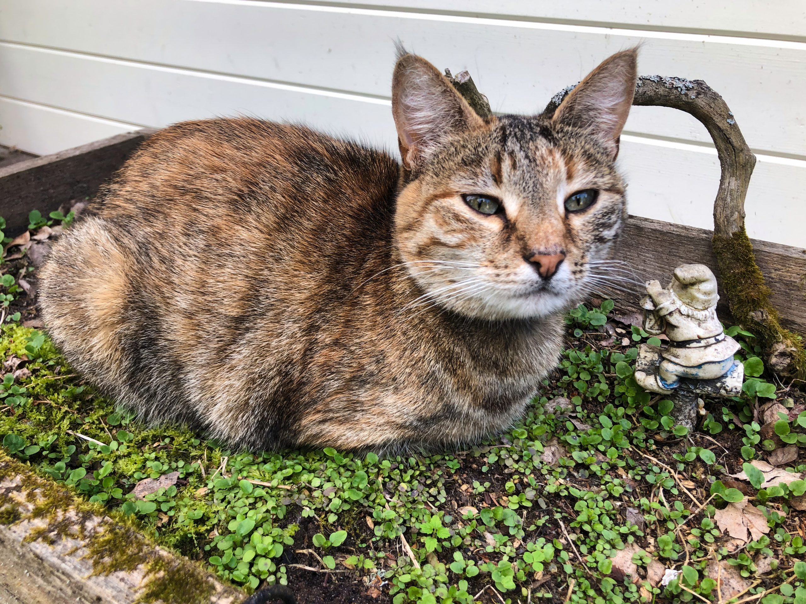 На берегу Угры. Конец мая 2024 года. Фотограф Никифоров-Гордеев Сергей. Москва и МО