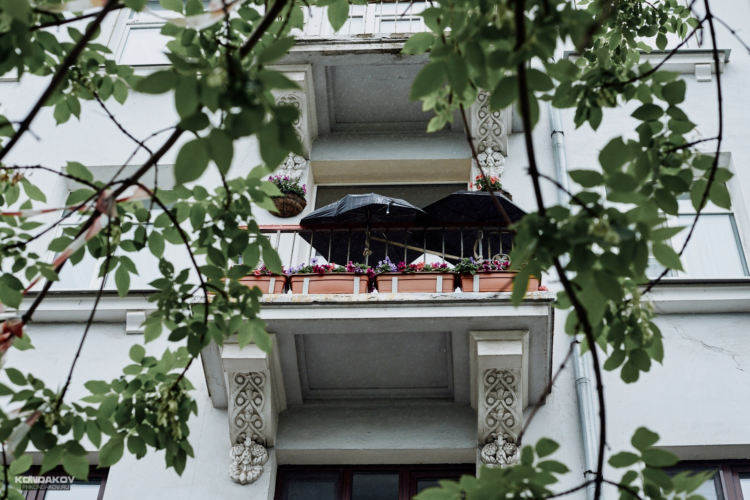 Фотопроект «The Люди» фотограф Александр Кондаков. Фотограф для маркетплейсов в Иваново | Съемки одежды и белья