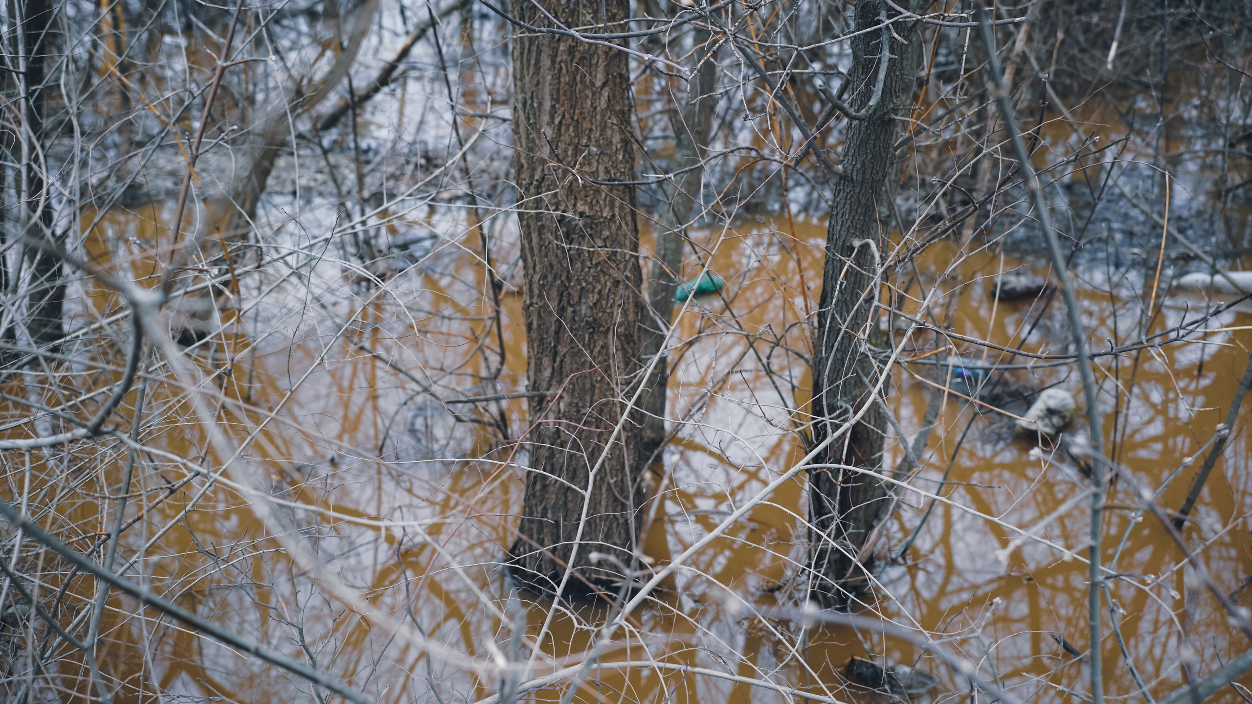 Submerged conflicts. Documentary photographer, film maker and storyteller