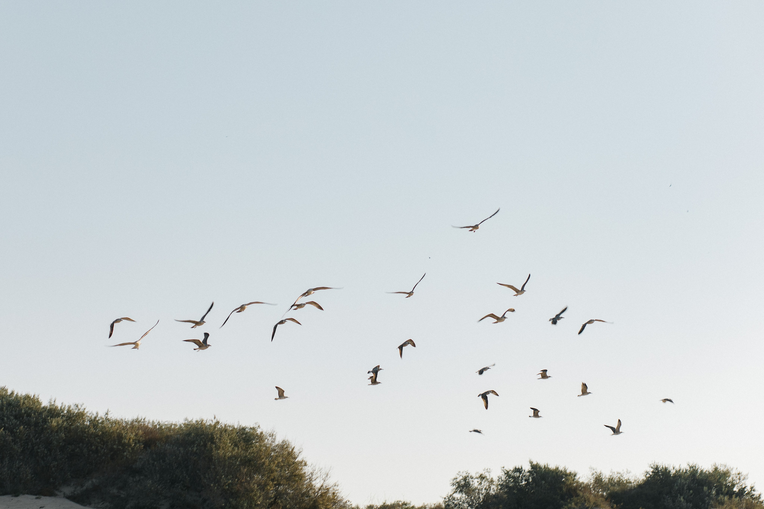 Рекламная съемка Дюны золотые. Профессиональный фотограф Иван Низиенко