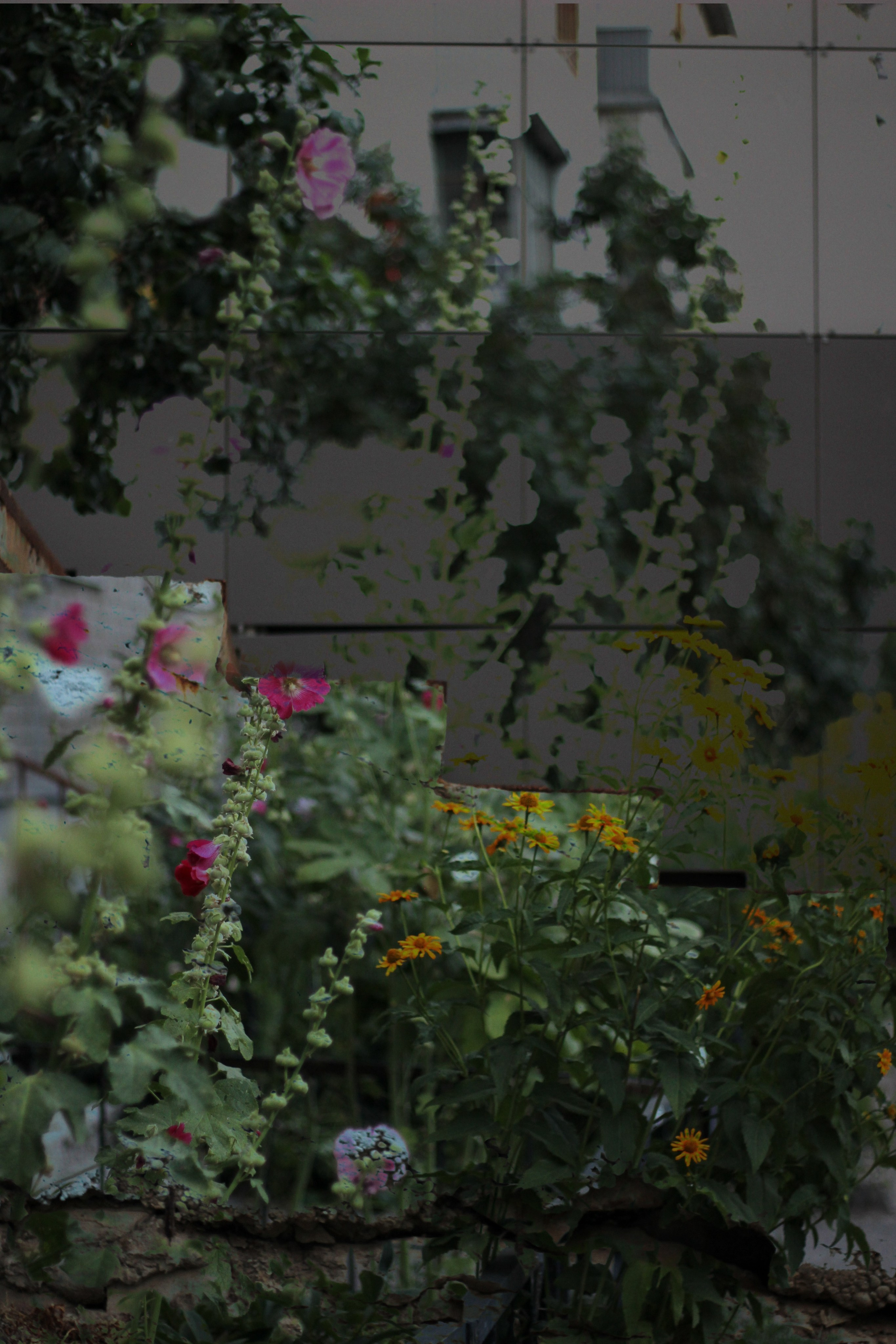 Double exposure. Фотограф в Казани / Регина Суфиянова